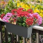 Pure Garden 20.75 in. Outdoor Plastic Railing Planter, Gray