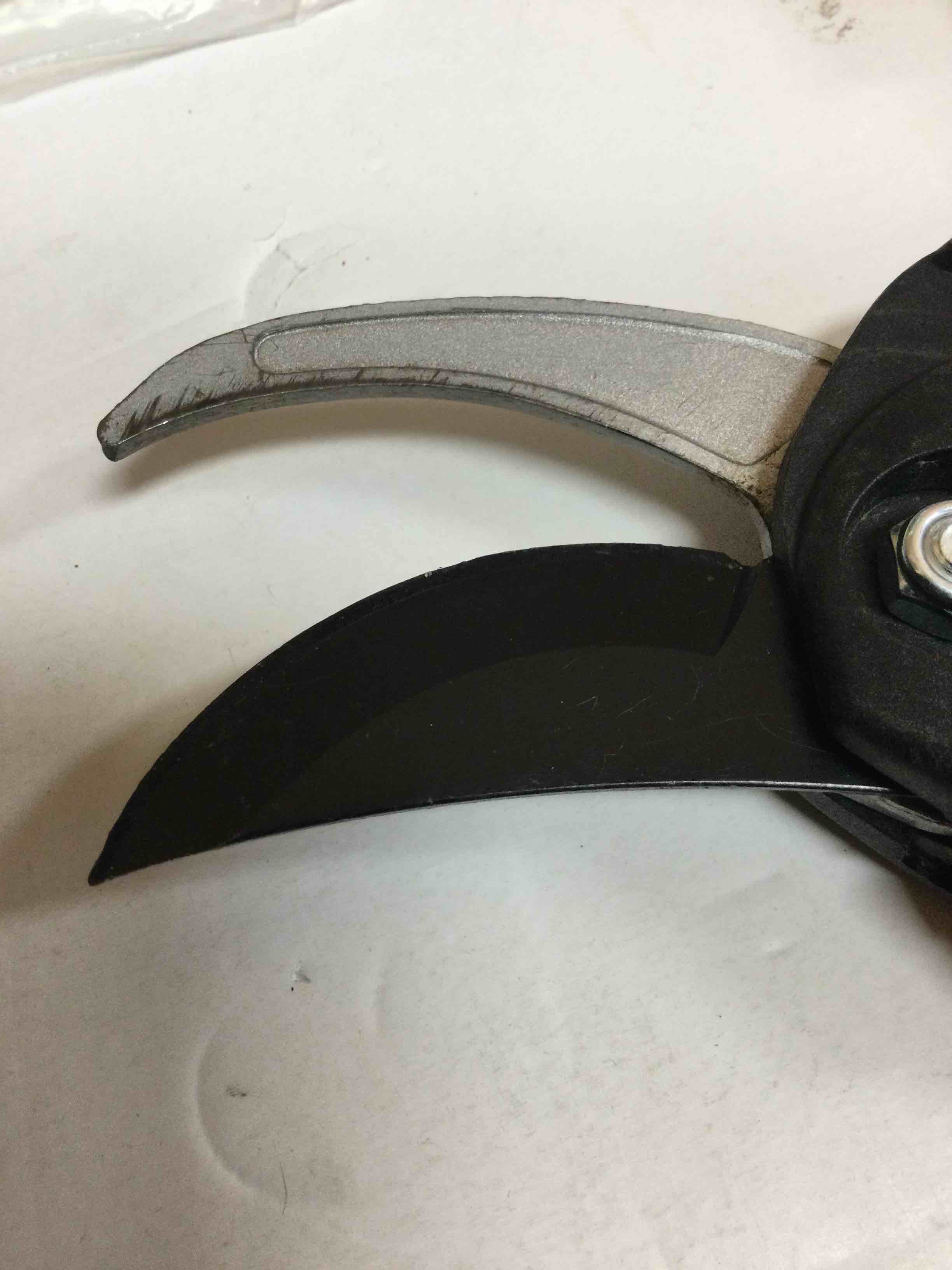 https://s3.amazonaws.com/lotting-images-prod/johnsoncity/PPE3451249_1757517680833.jpeg