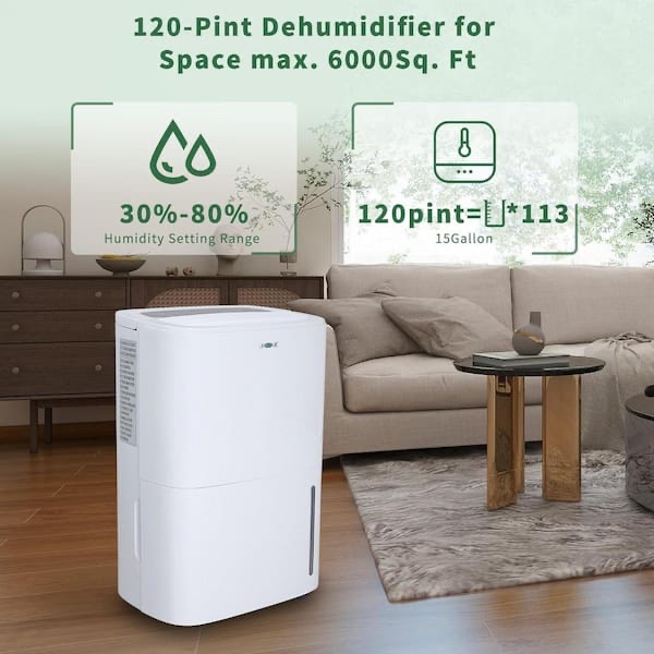 120-Pint Dehumidifier for 6,000 sq. ft. White, with Large Bucket, Drain Hose, Auto Defrost, for Basement or Garage