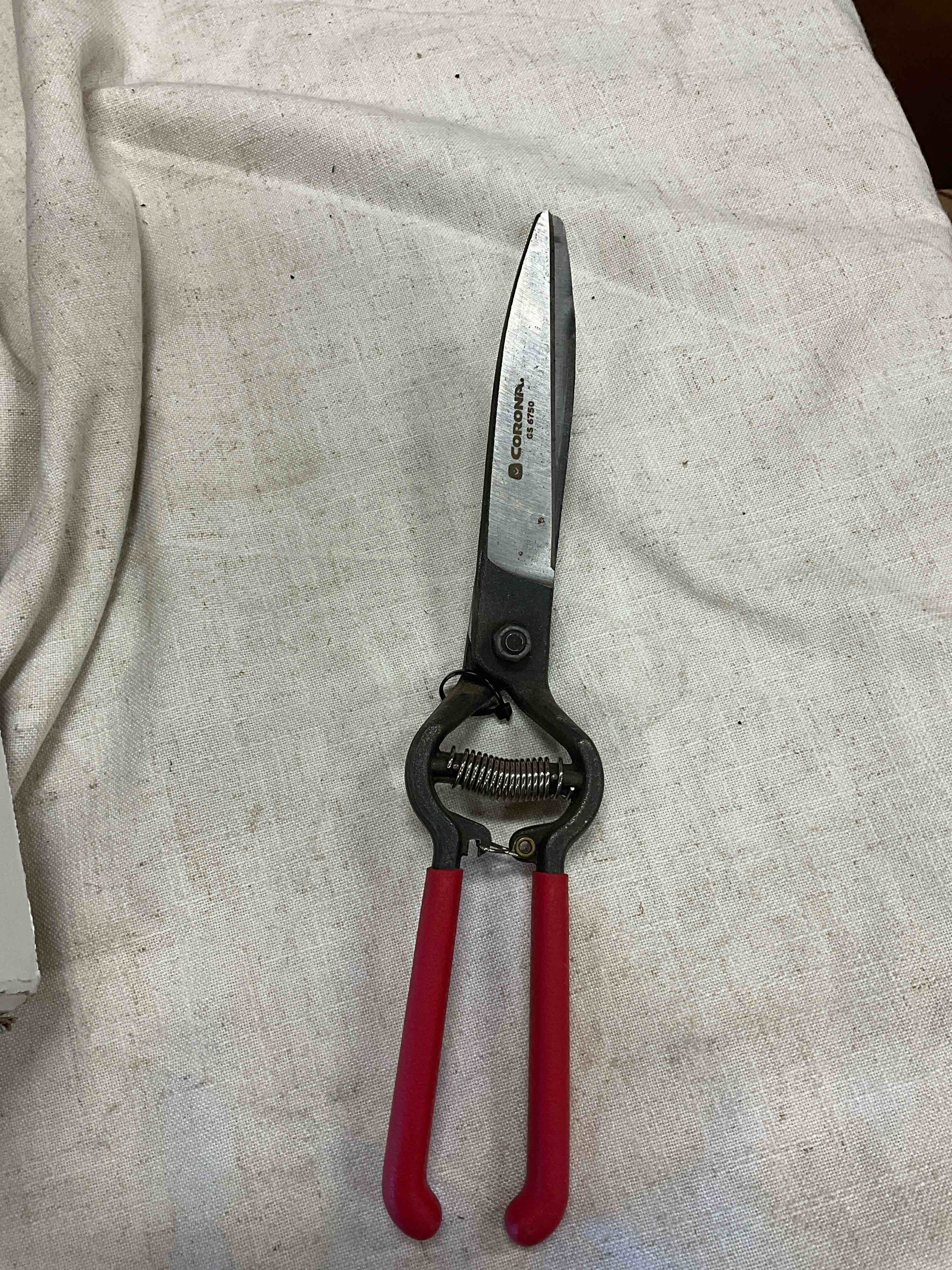 https://s3.amazonaws.com/lotting-images-prod/johnsoncity/PPE3451576_1760649423497.jpeg