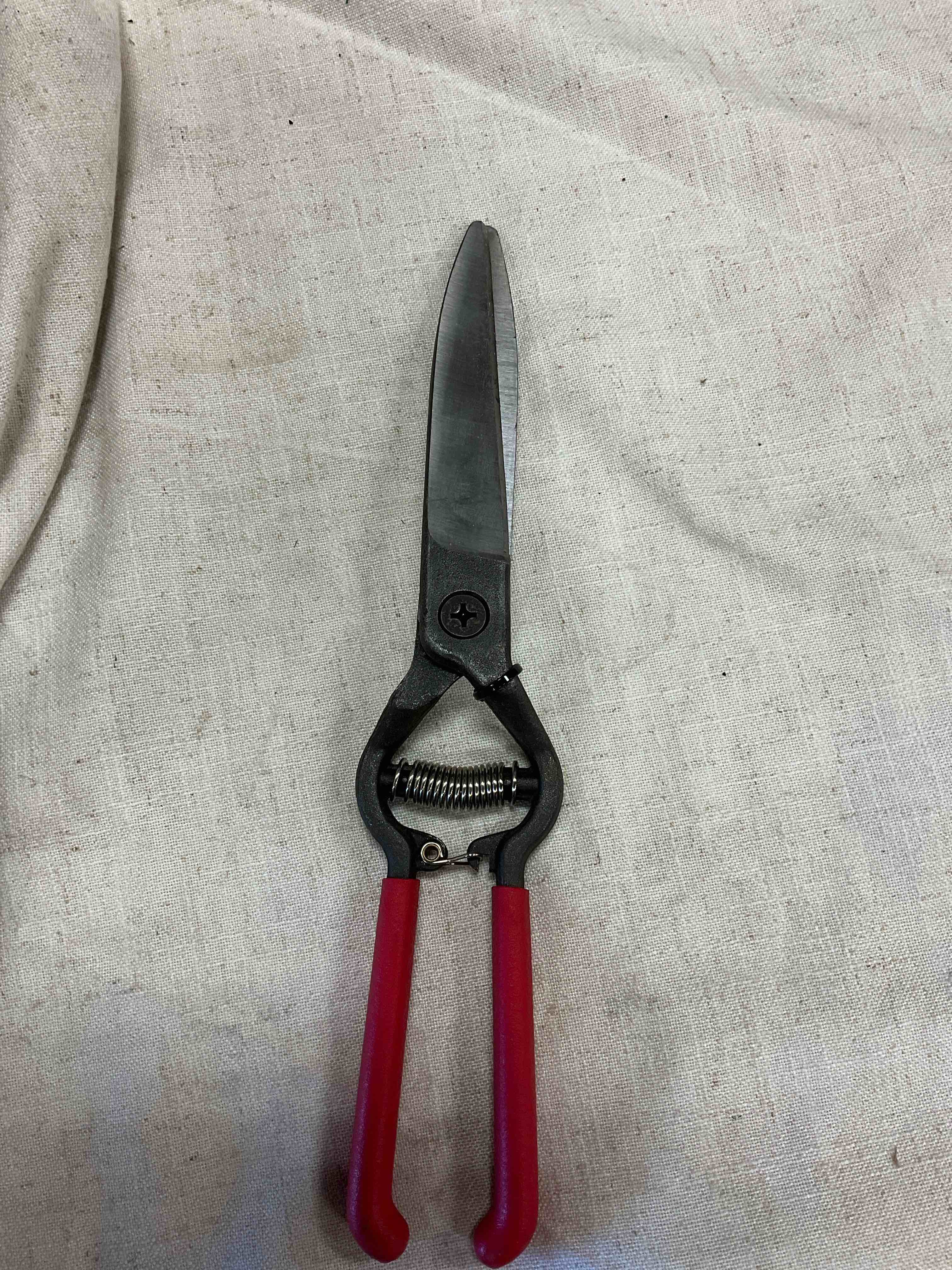 https://s3.amazonaws.com/lotting-images-prod/johnsoncity/PPE3451576_1760649427884.jpeg