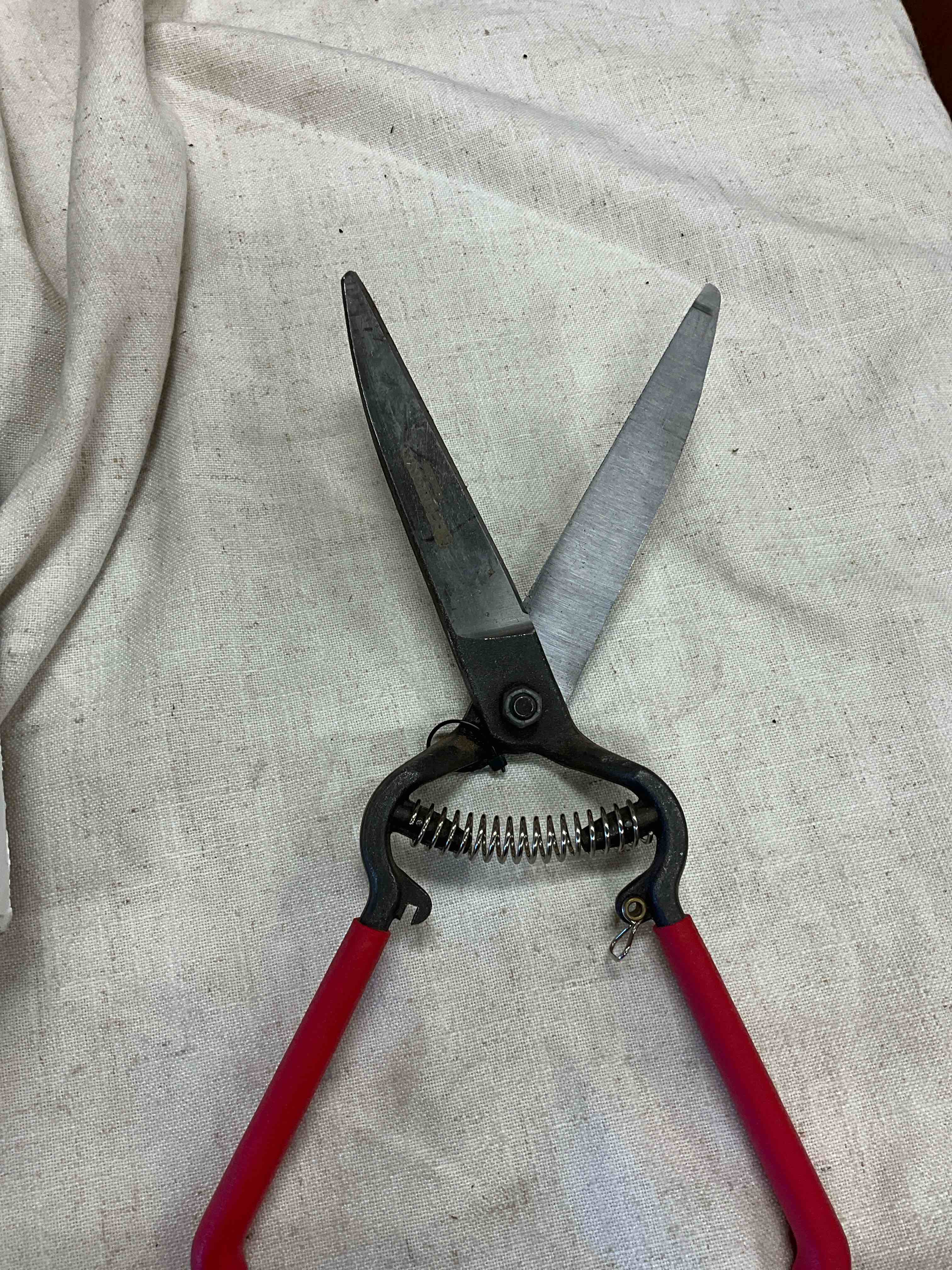 https://s3.amazonaws.com/lotting-images-prod/johnsoncity/PPE3451576_1760649437682.jpeg
