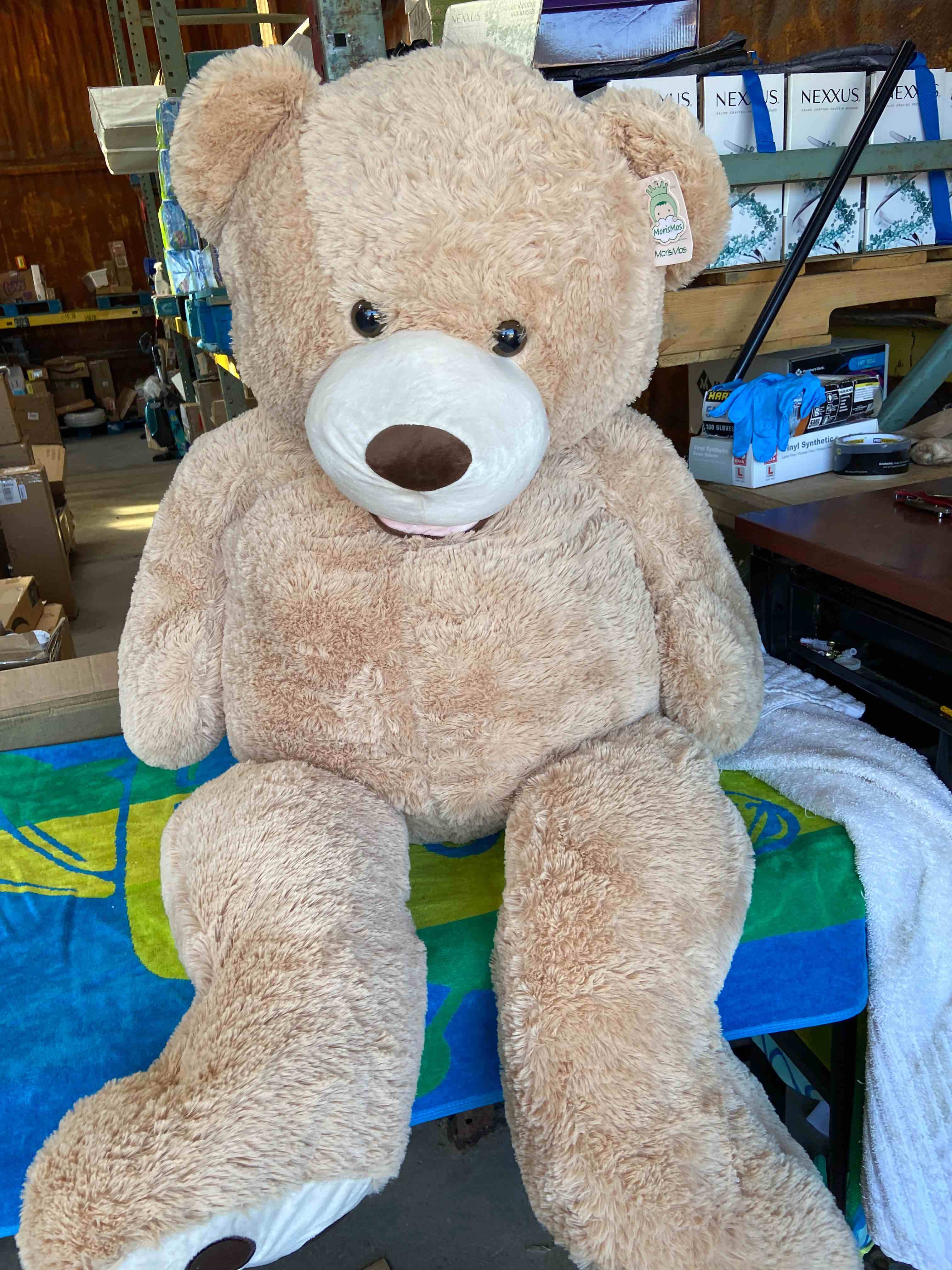 MorisMos teddy bear 4’ tall
