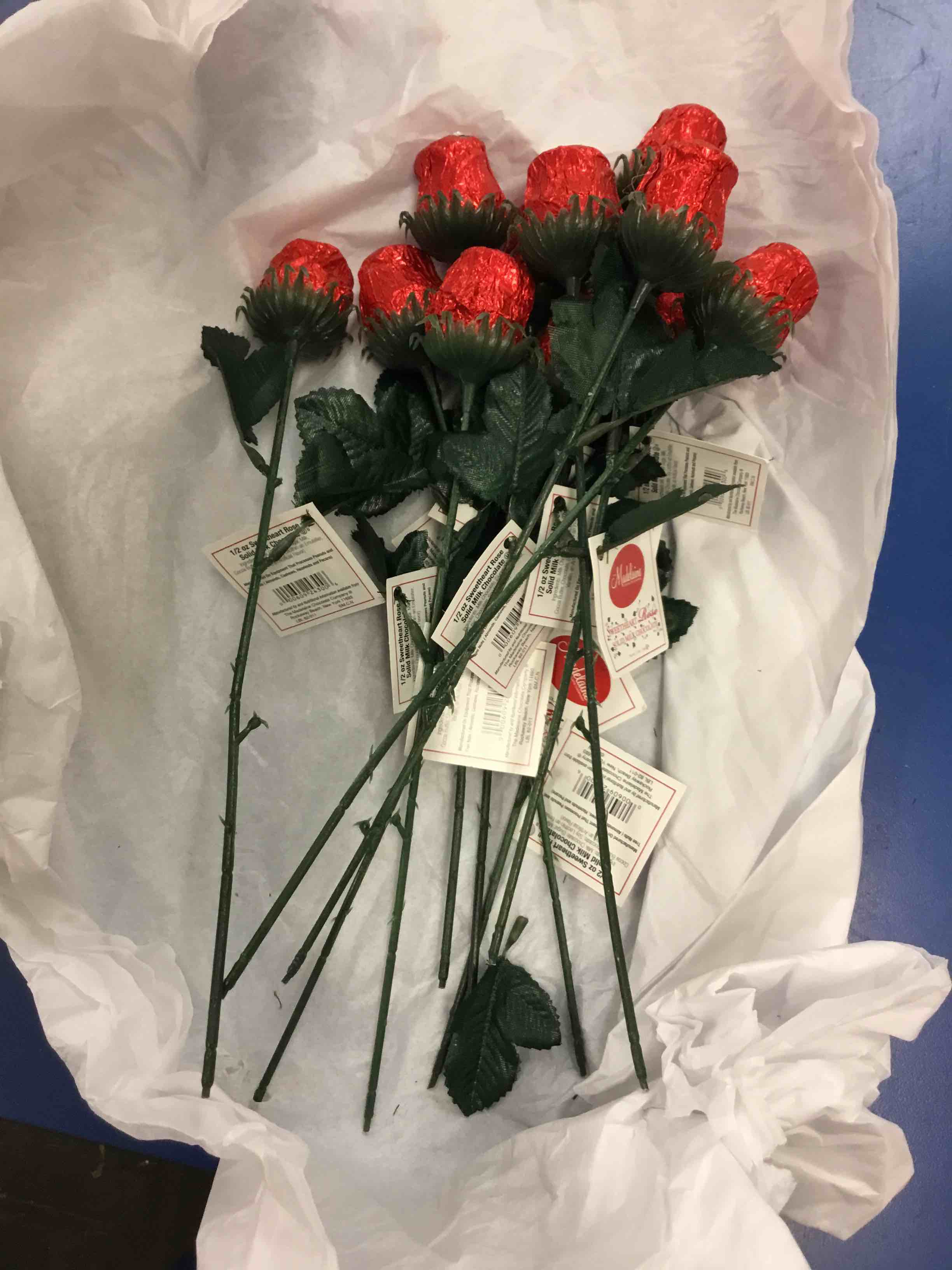 https://s3.amazonaws.com/lotting-images-prod/johnsoncity/RED2245548_1665697805163.jpeg