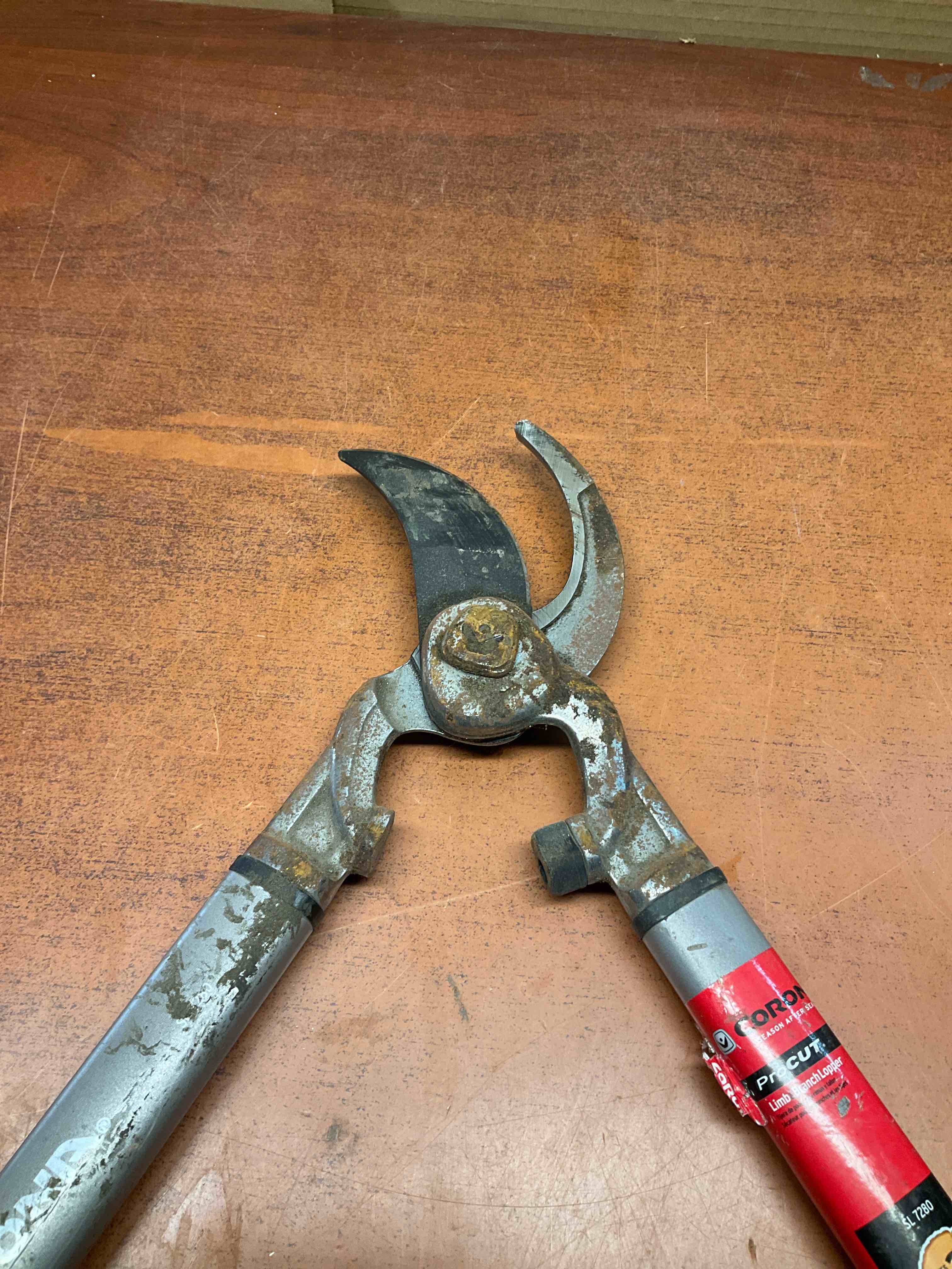 https://s3.amazonaws.com/lotting-images-prod/johnsoncity/RED3392191_1752251549472.jpeg