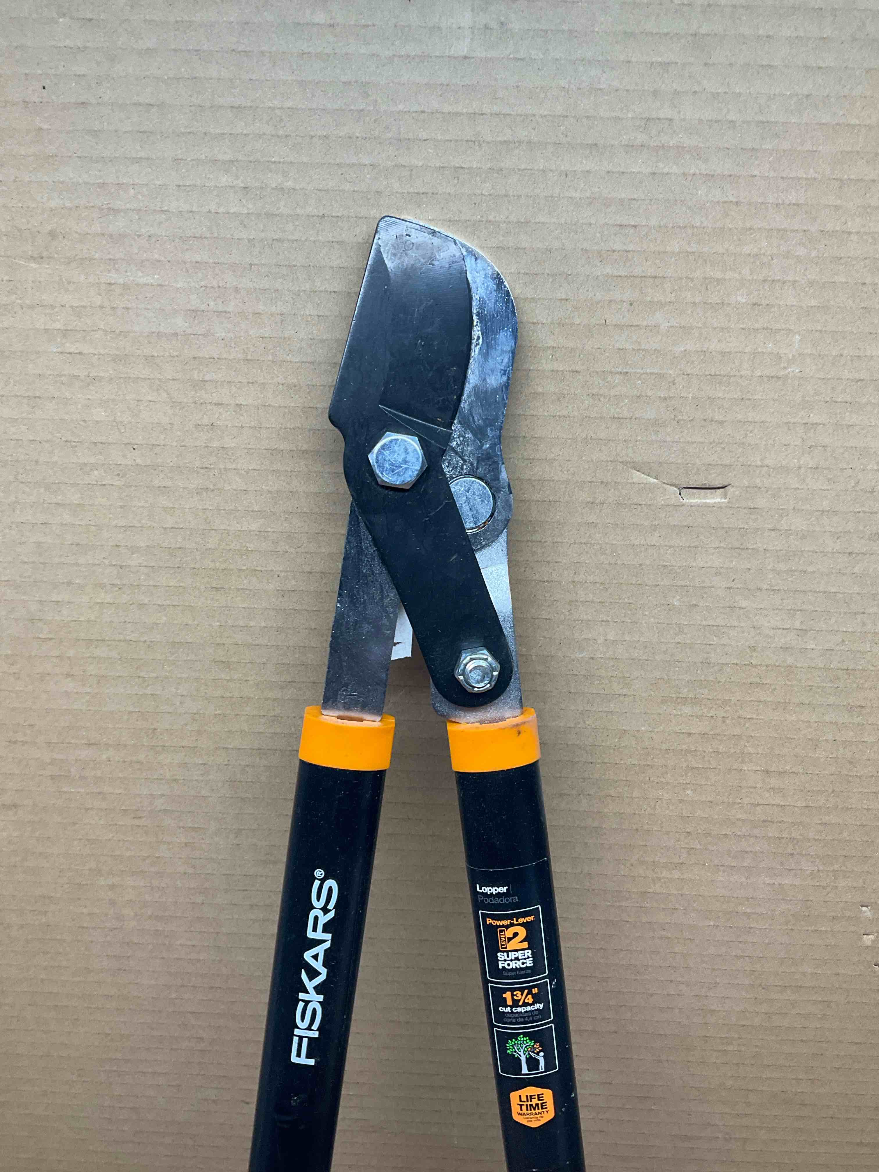 https://s3.amazonaws.com/lotting-images-prod/johnsoncity/RED3396553_1759940034678.jpeg