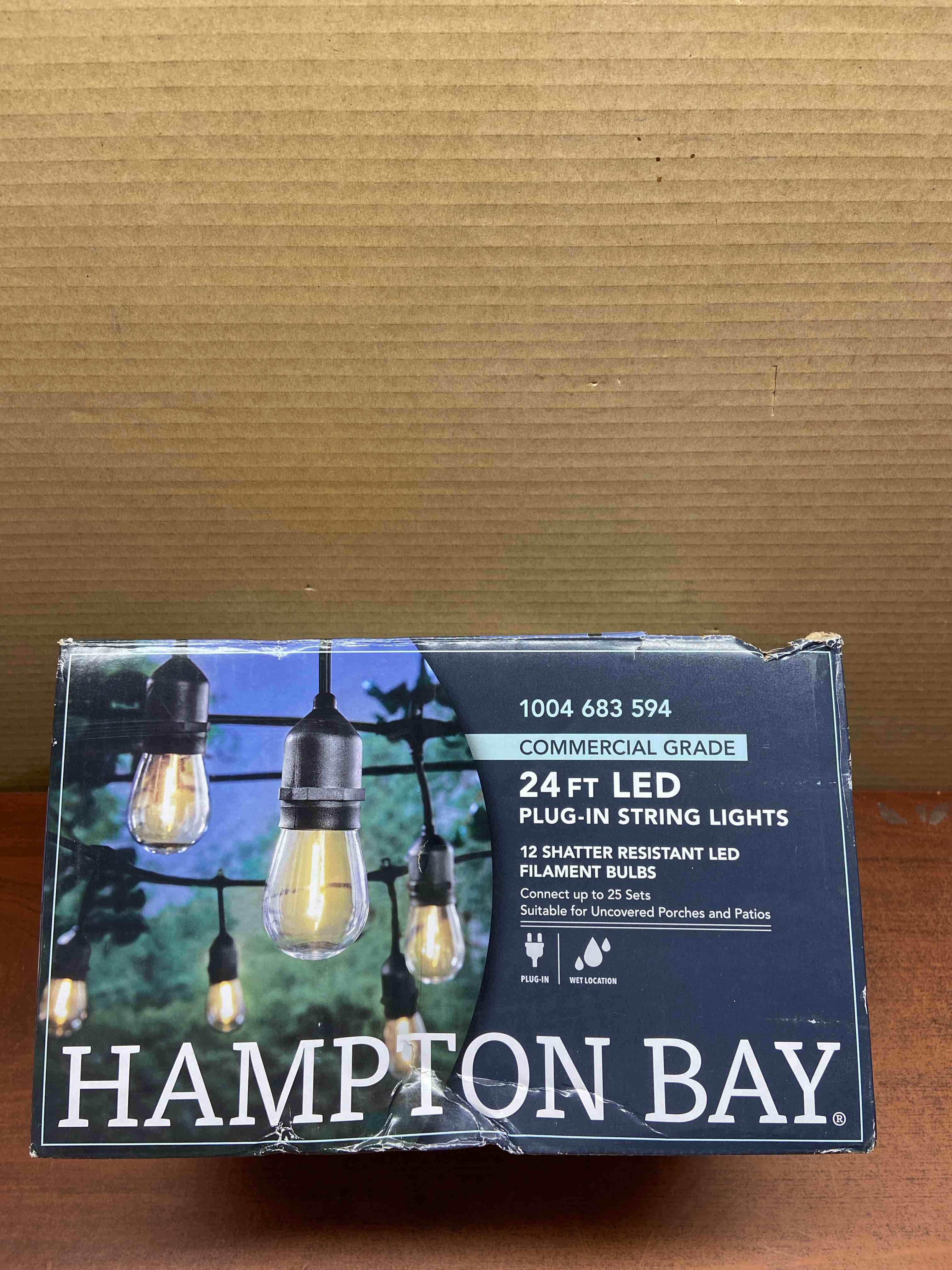 HamptonBayLighting 24-Light Indoor/Outdoor 48 ft. String Light with S14 Single Filament LED Bulbs (24)