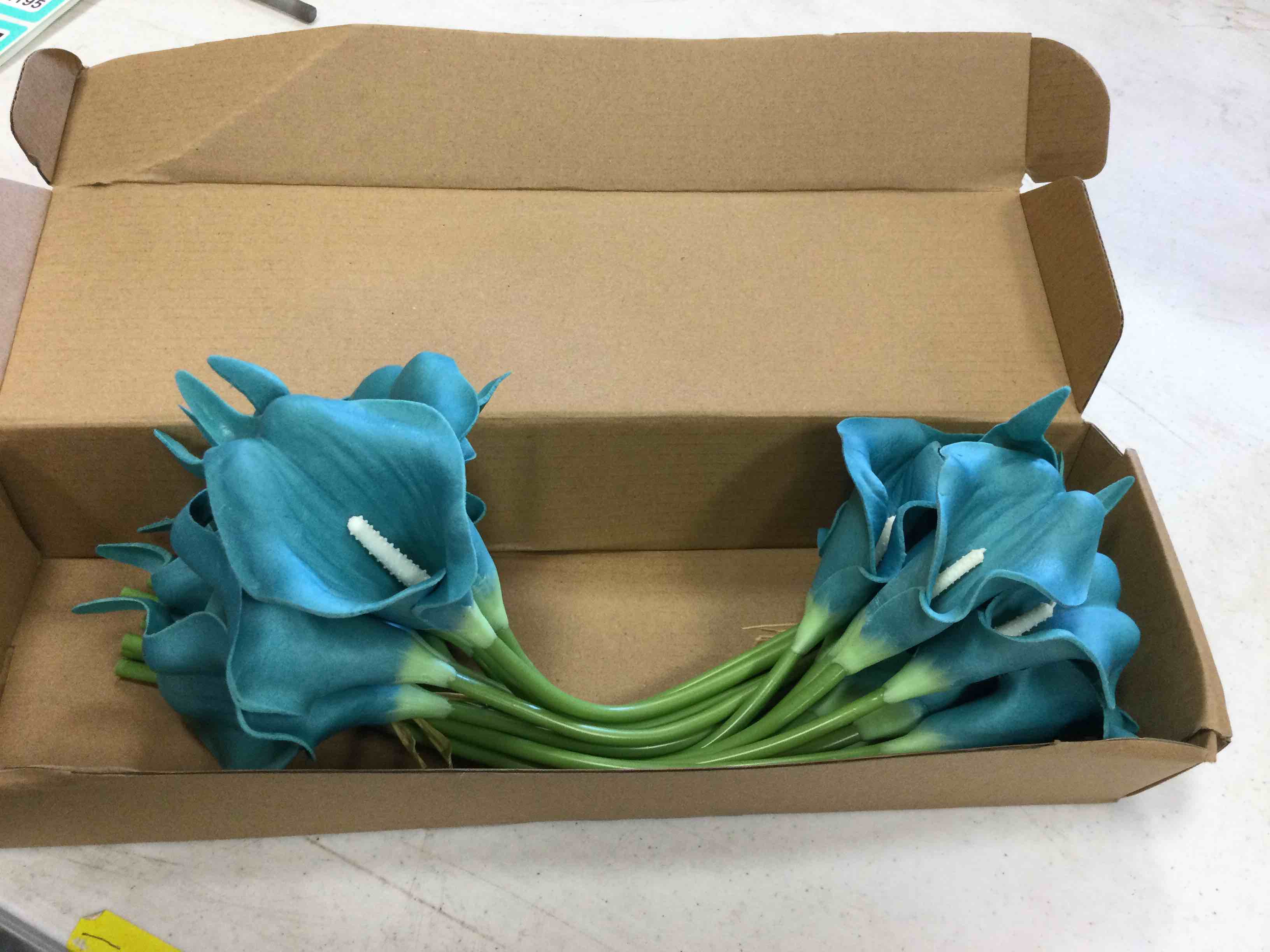 https://s3.amazonaws.com/lotting-images-prod/johnsoncity/TEA3562207_1755546758897.jpeg