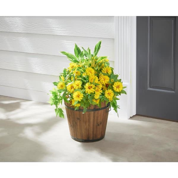 https://s3.amazonaws.com/lotting-images-prod/johnsoncity/TEA3562365_1758133189555.jpeg