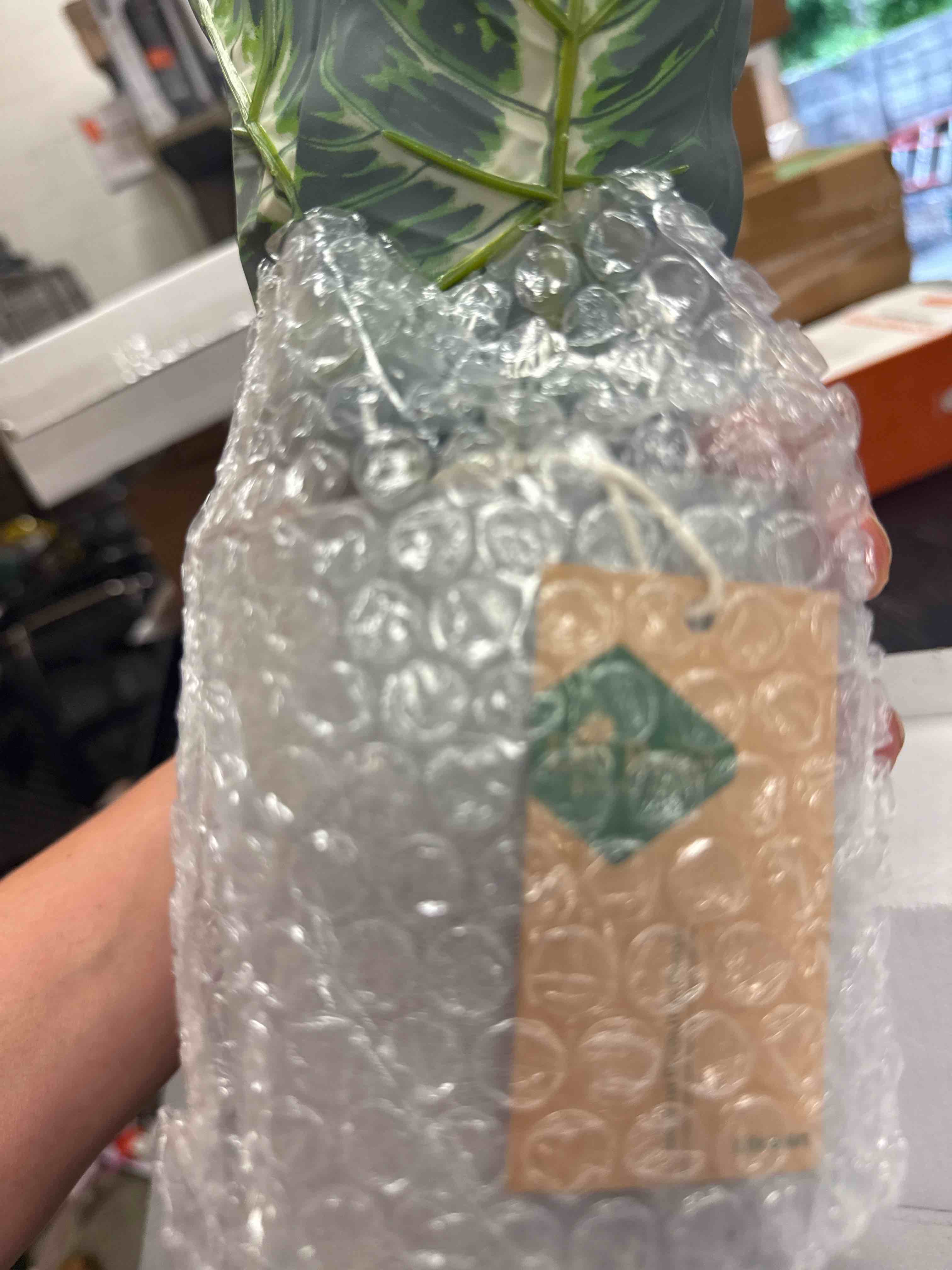 https://s3.amazonaws.com/lotting-images-prod/johnsoncity/tsSCRU836939_1752753342092.jpeg