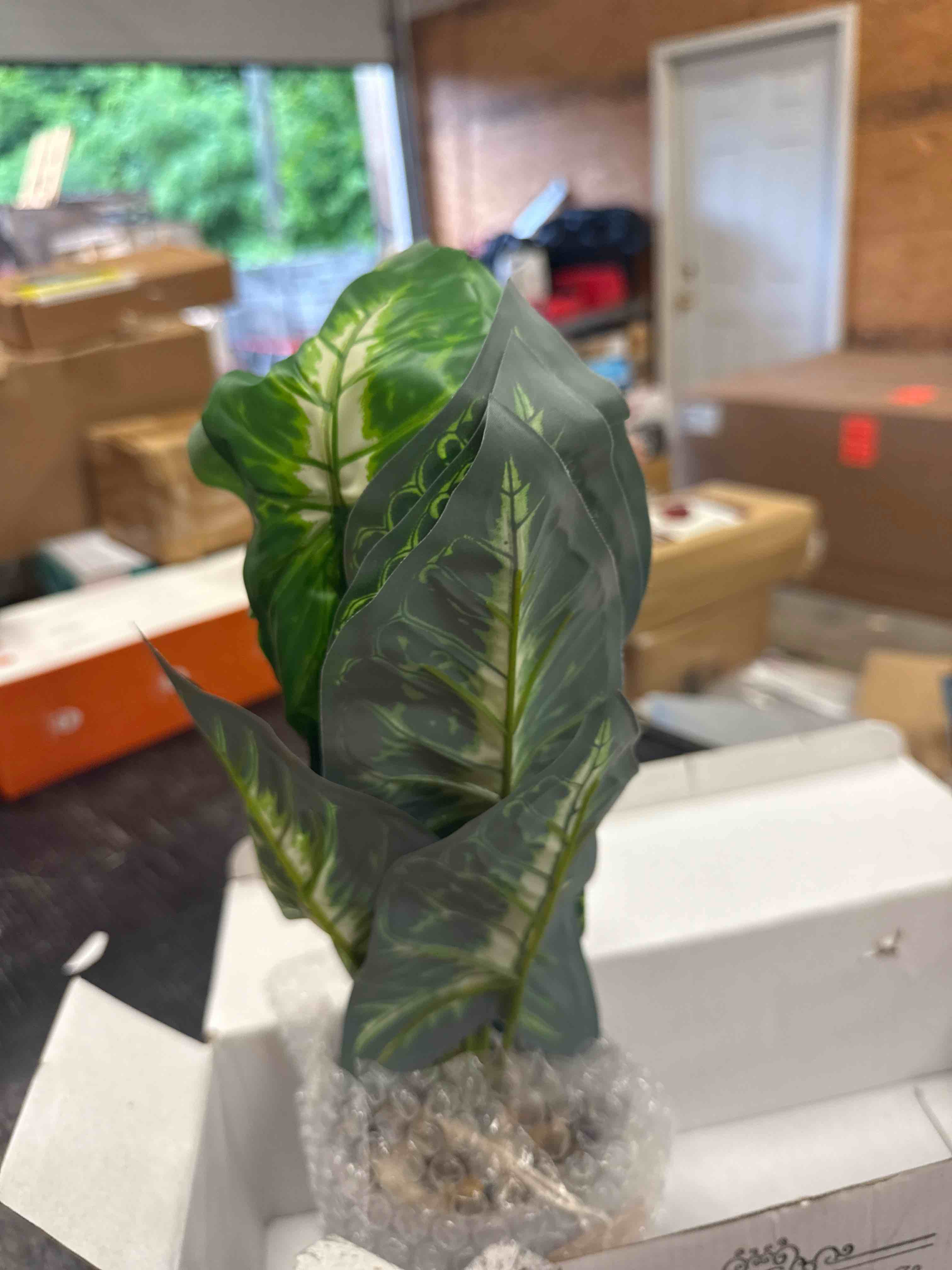https://s3.amazonaws.com/lotting-images-prod/johnsoncity/tsSCRU836939_1752753344561.jpeg