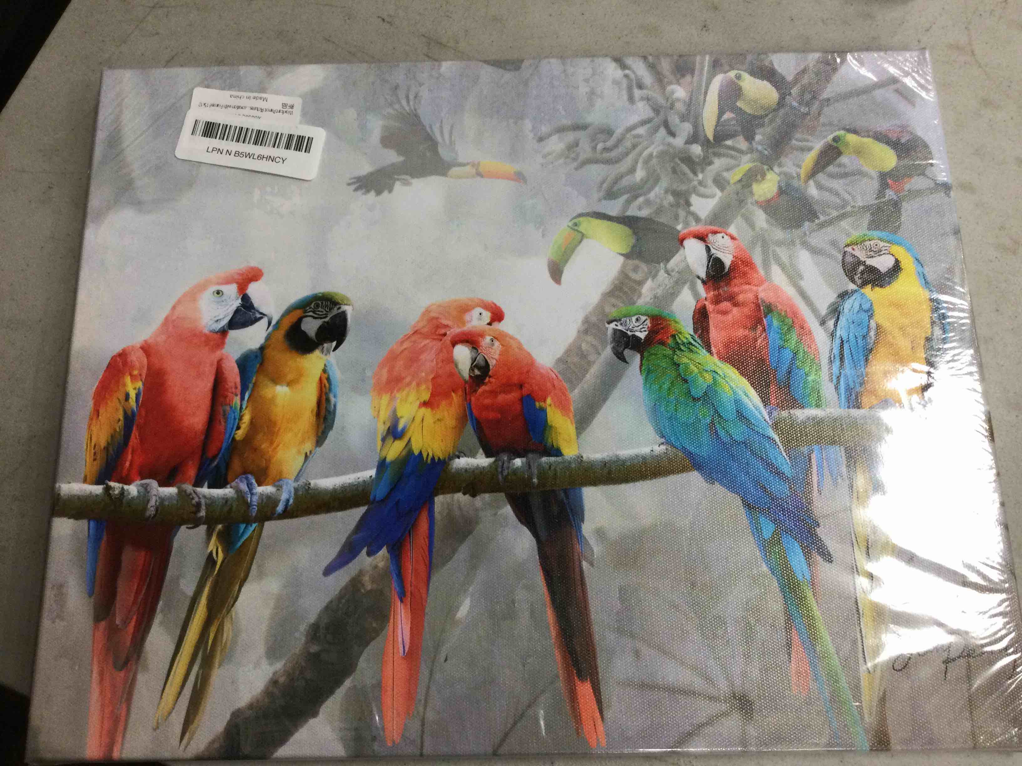 https://s3.amazonaws.com/lotting-images-prod/johnsoncity/tsSCRU839955_1746049977457.jpeg