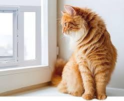 Ideal Pet Products Aluminum Sash Pet Door  Large White 10.5X15 Inch Flap Size/ 33-38 inch window size