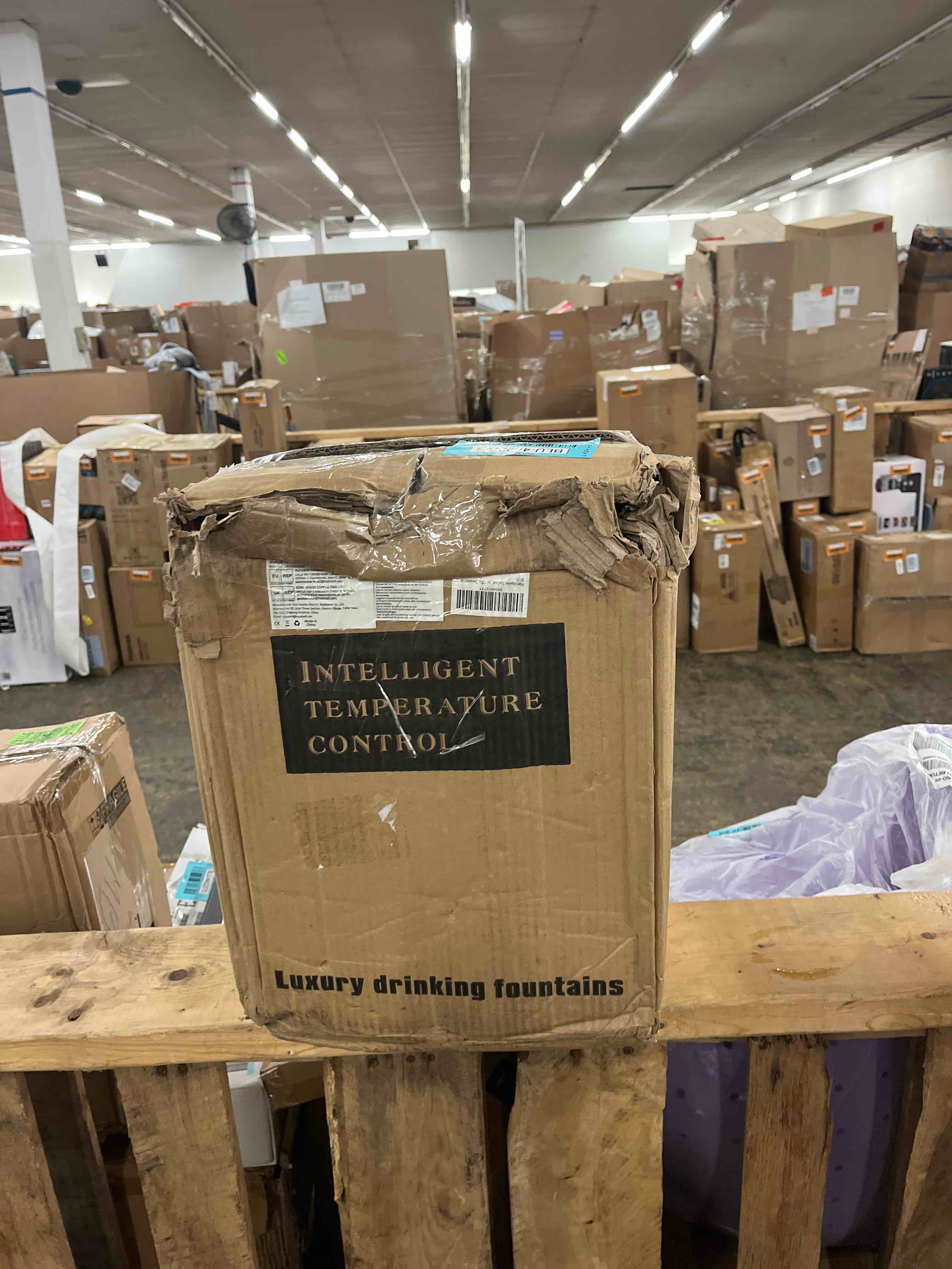 https://s3.amazonaws.com/lotting-images-prod/phillipi/BLU4402784_1752252884575.jpeg
