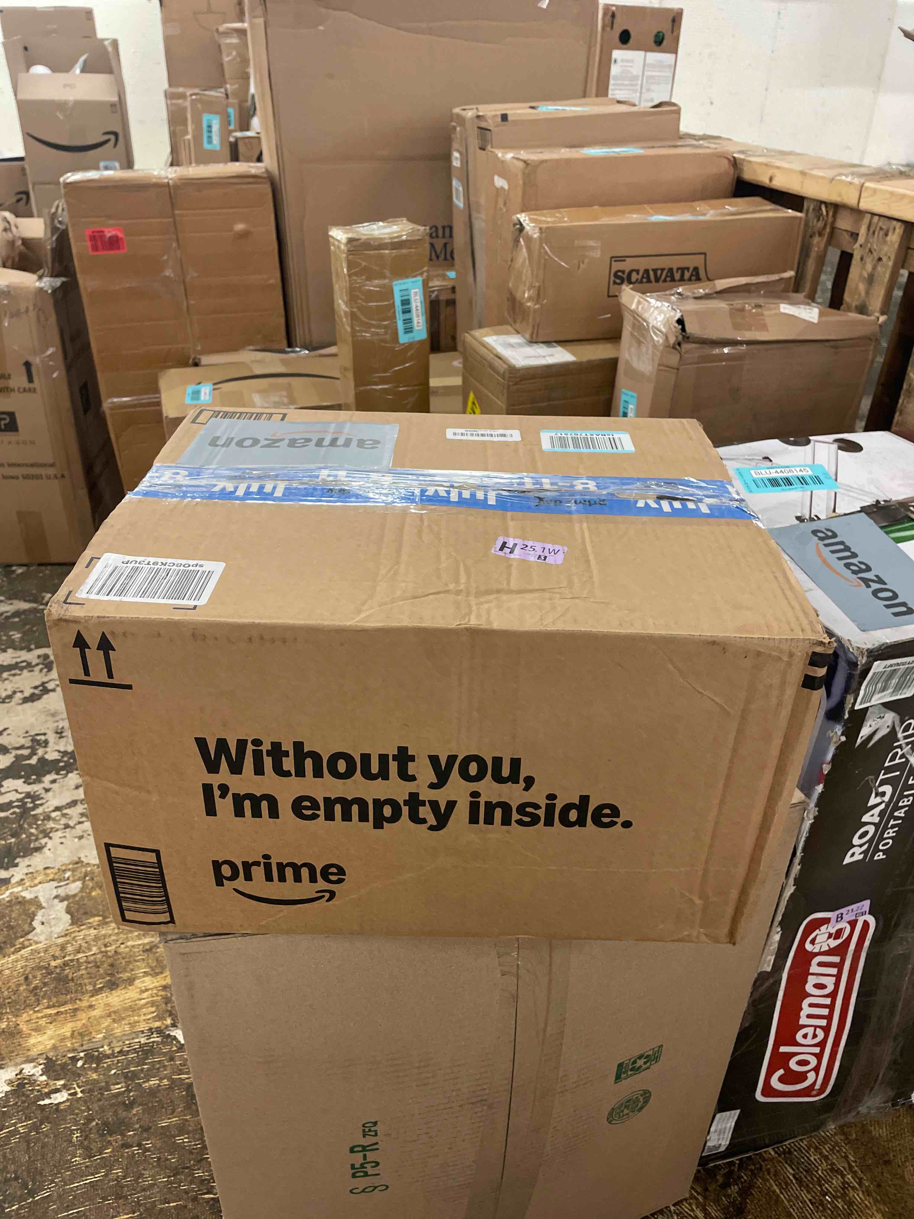 https://s3.amazonaws.com/lotting-images-prod/phillipi/BLU4408147_1752503553504.jpeg