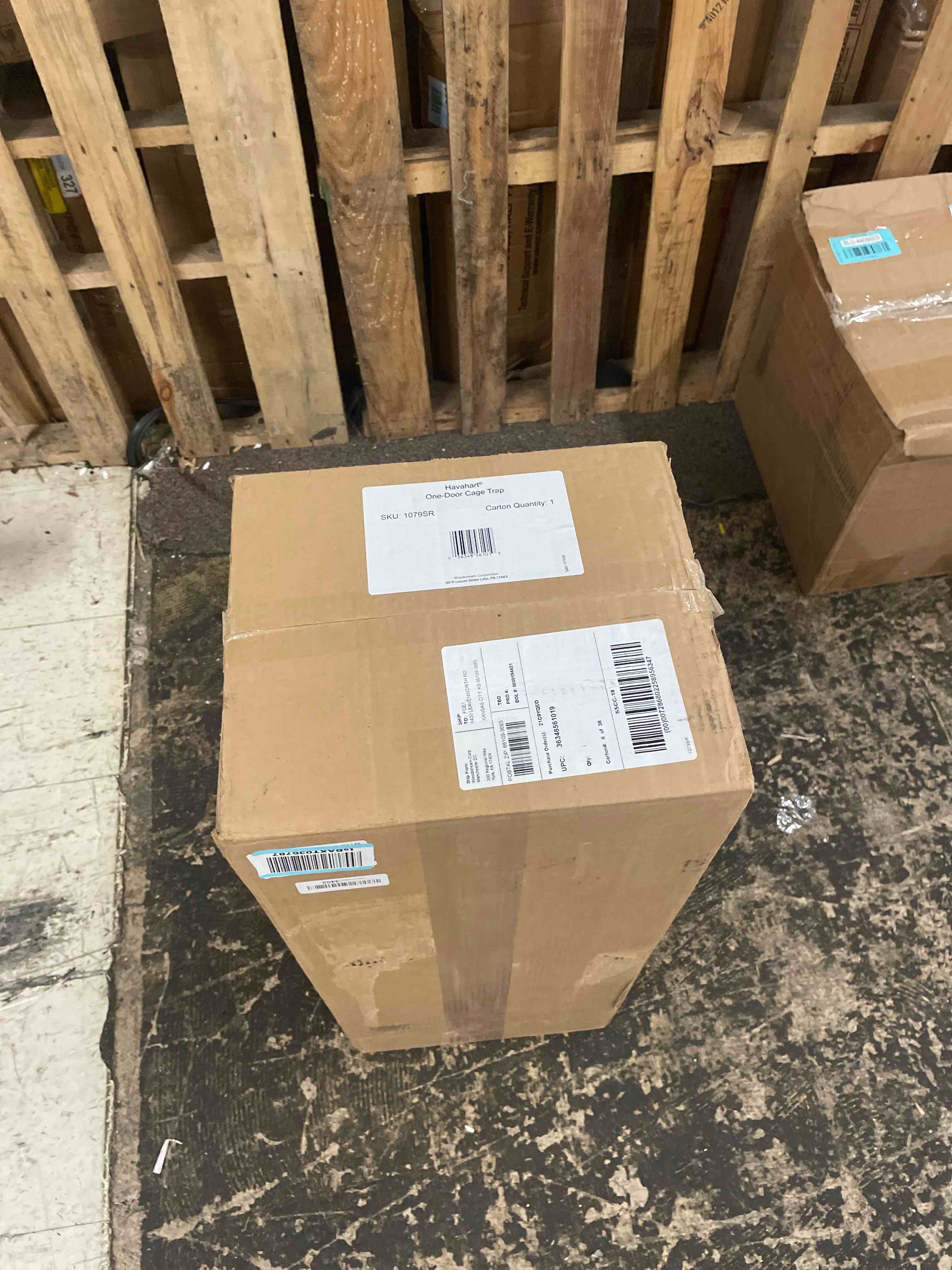 https://s3.amazonaws.com/lotting-images-prod/phillipi/BLU4408597_1753464826557.jpeg