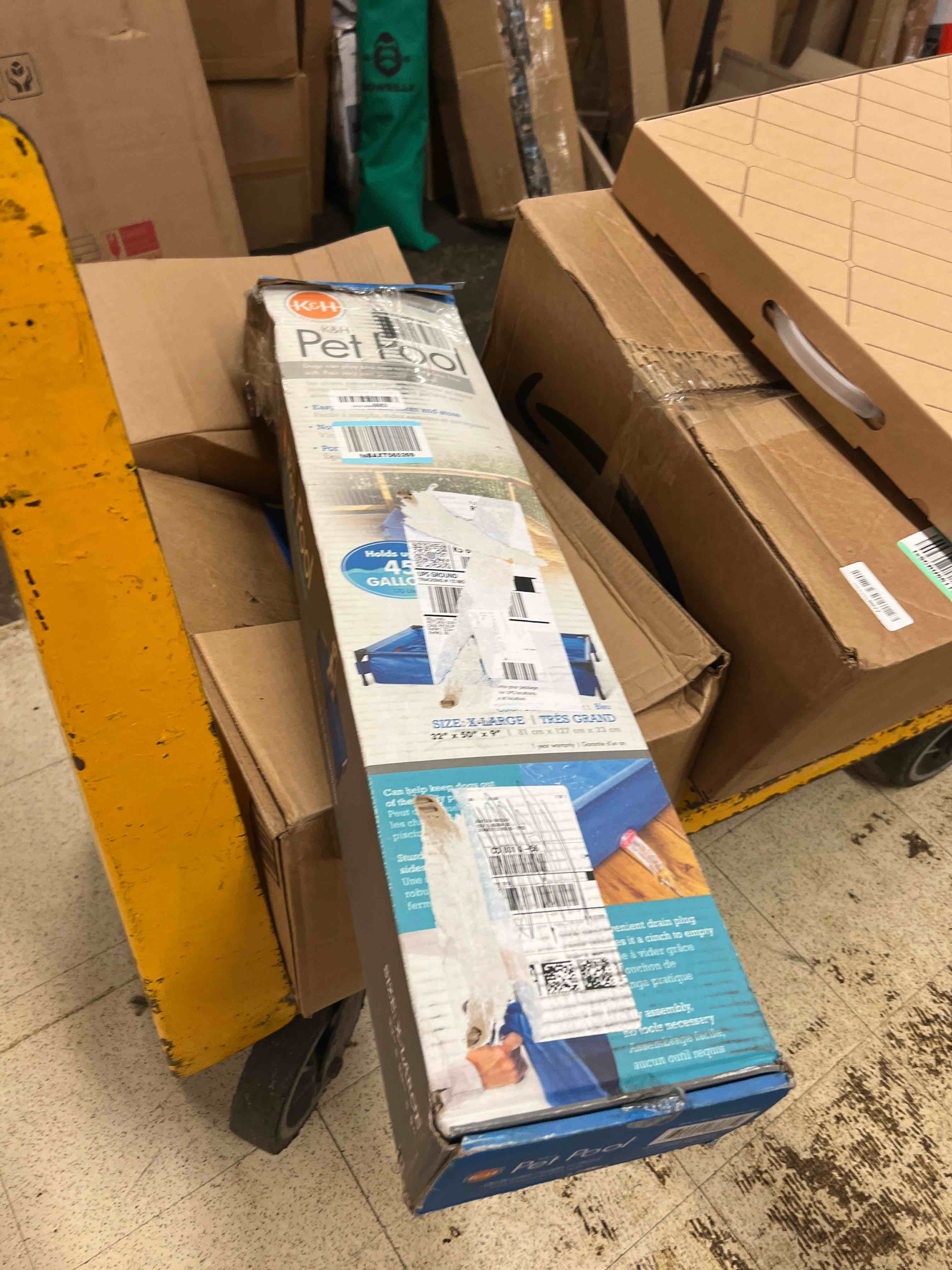 https://s3.amazonaws.com/lotting-images-prod/phillipi/BLU4411694_1755207488421.jpeg