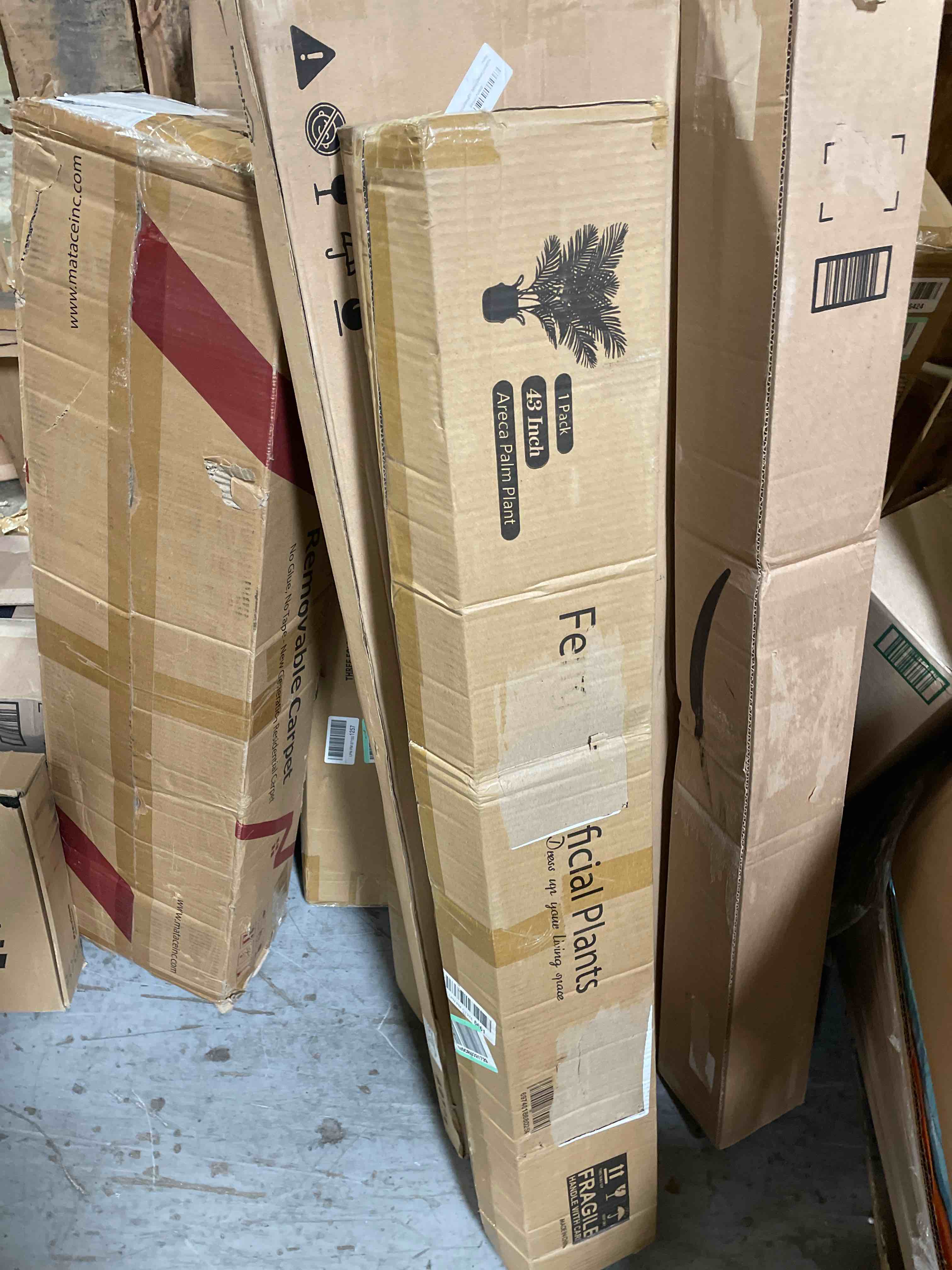 https://s3.amazonaws.com/lotting-images-prod/phillipi/BLU4723439_1701991325088.jpeg