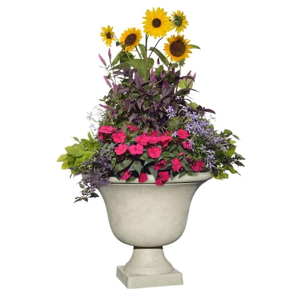 17.75 resin textured urn