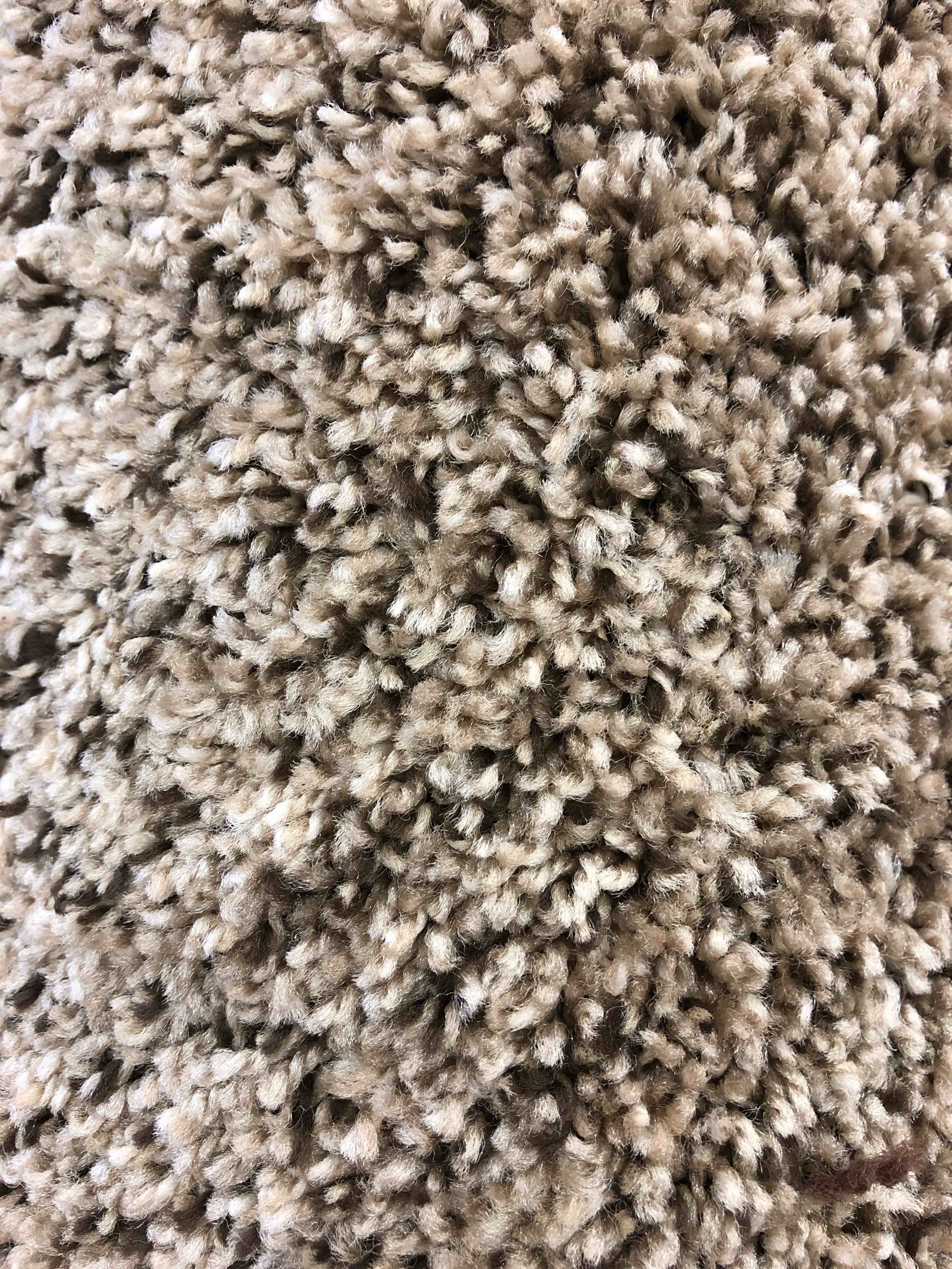 Retep Rug Toffee Plush 4x6 Stain Resistant Area Rug