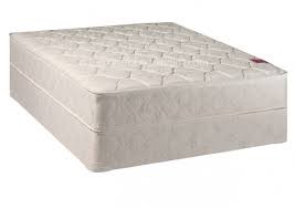 Comfort Bedding Legacy Twin Size