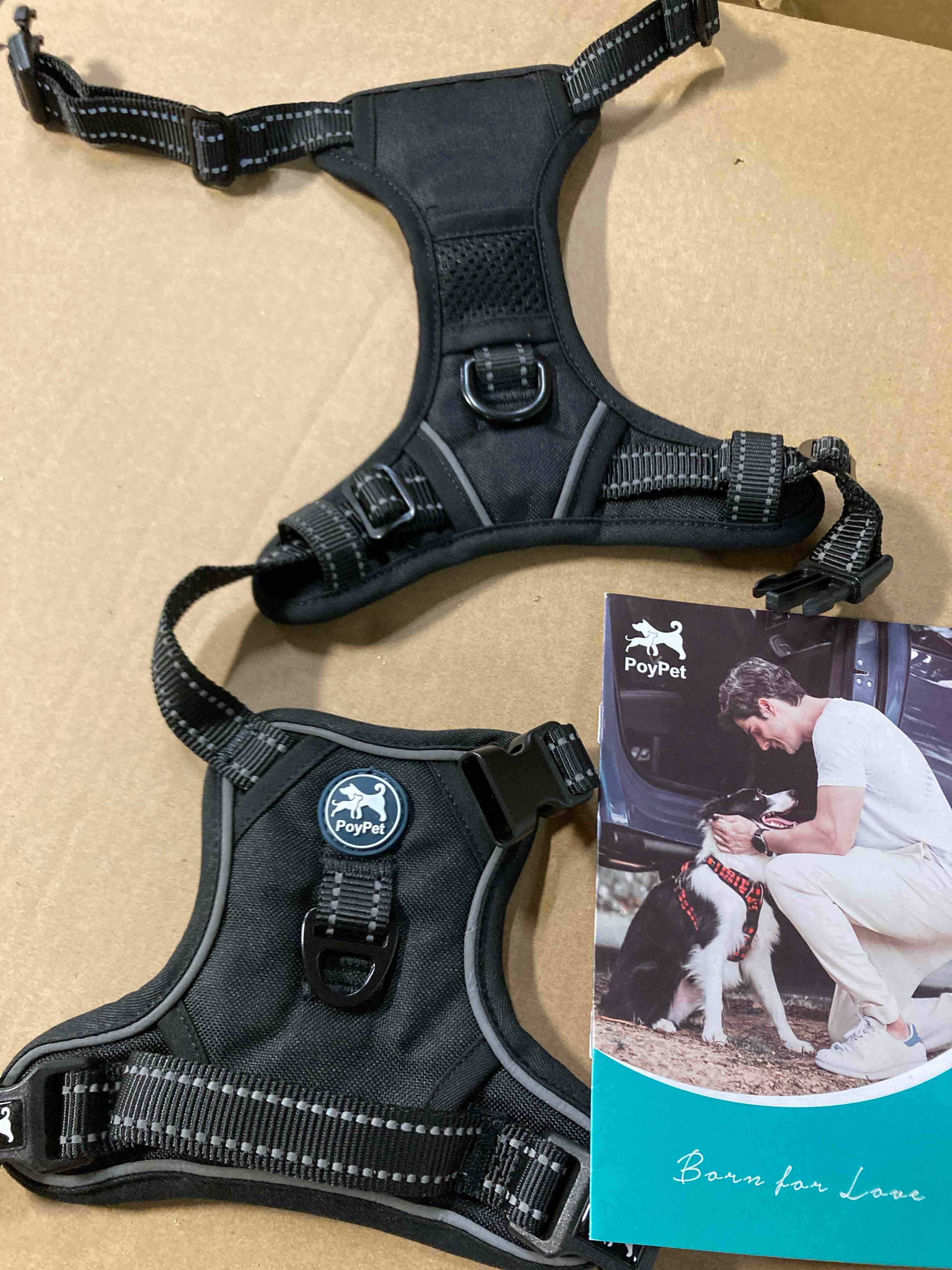 https://s3.amazonaws.com/lotting-images-prod/phillipi/BLU5071180_1700584024085.jpeg
