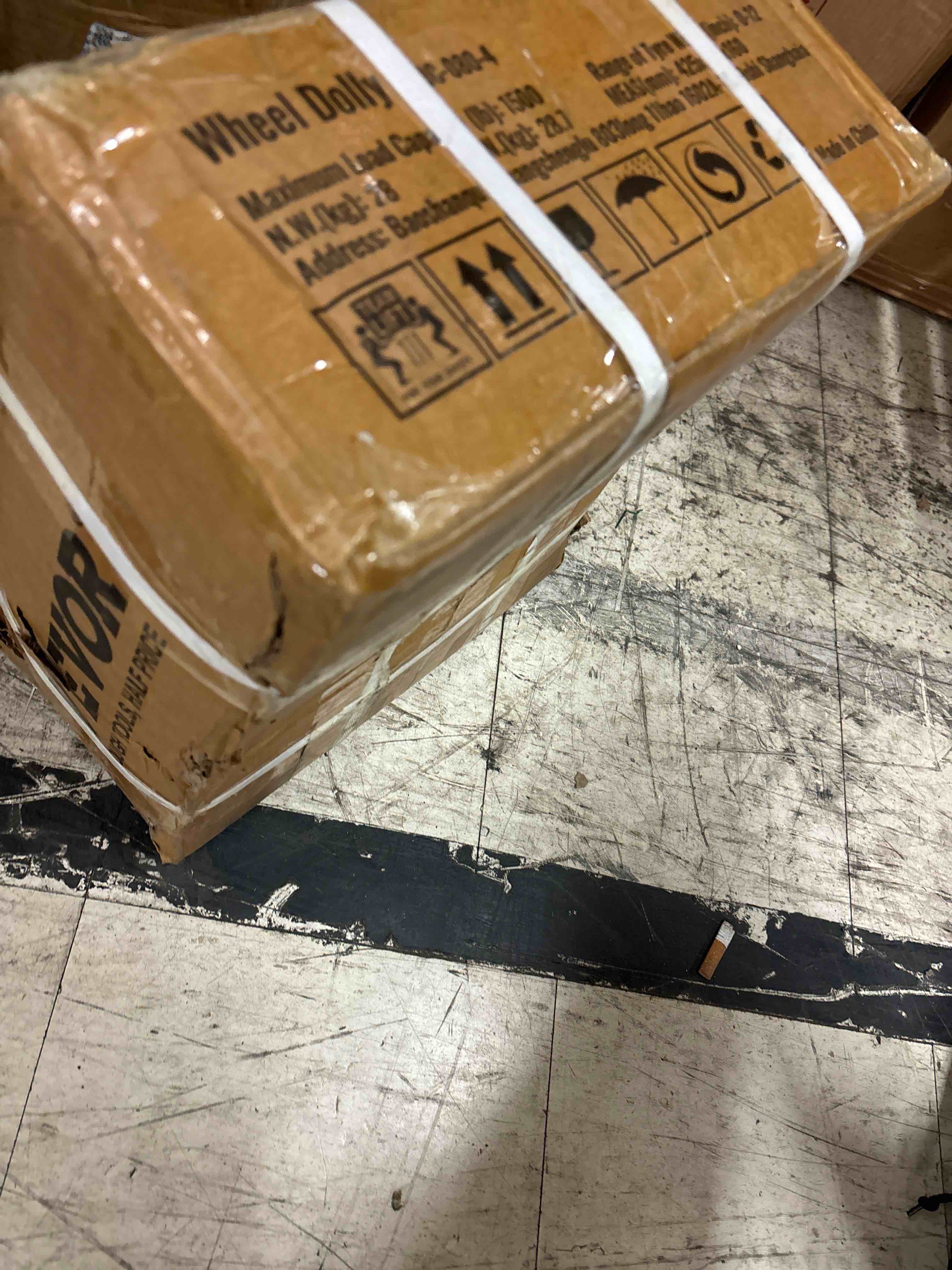 https://s3.amazonaws.com/lotting-images-prod/phillipi/BLU5122989_1706906905628.jpeg
