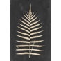 Wexford Gallery 48" H x 32" W Linen Fern III by Vision Studio Print See More by Rosalind Wheeler