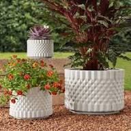 members mark white 3 pk planters