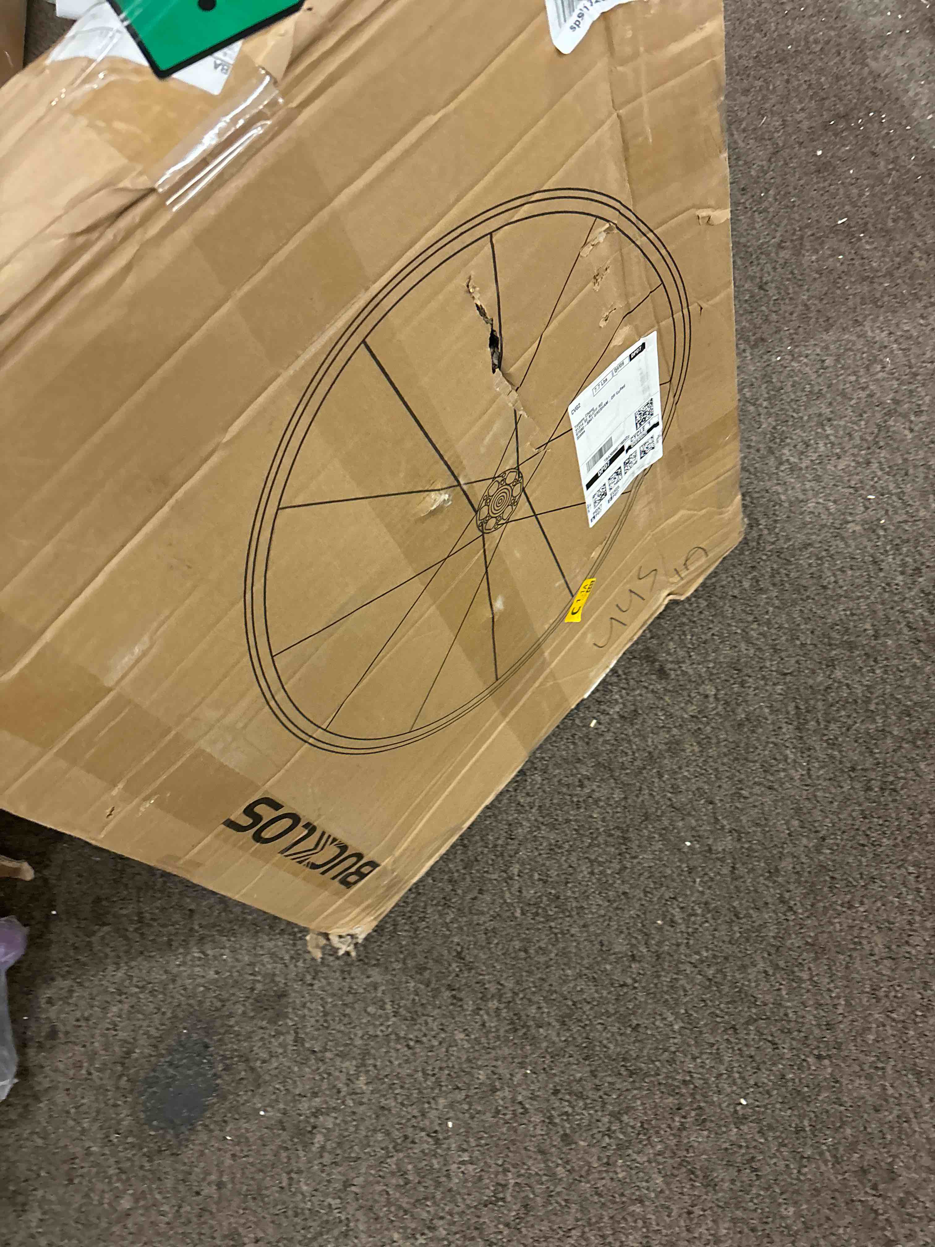 https://s3.amazonaws.com/lotting-images-prod/phillipi/BLU5546417_1706140511197.jpeg