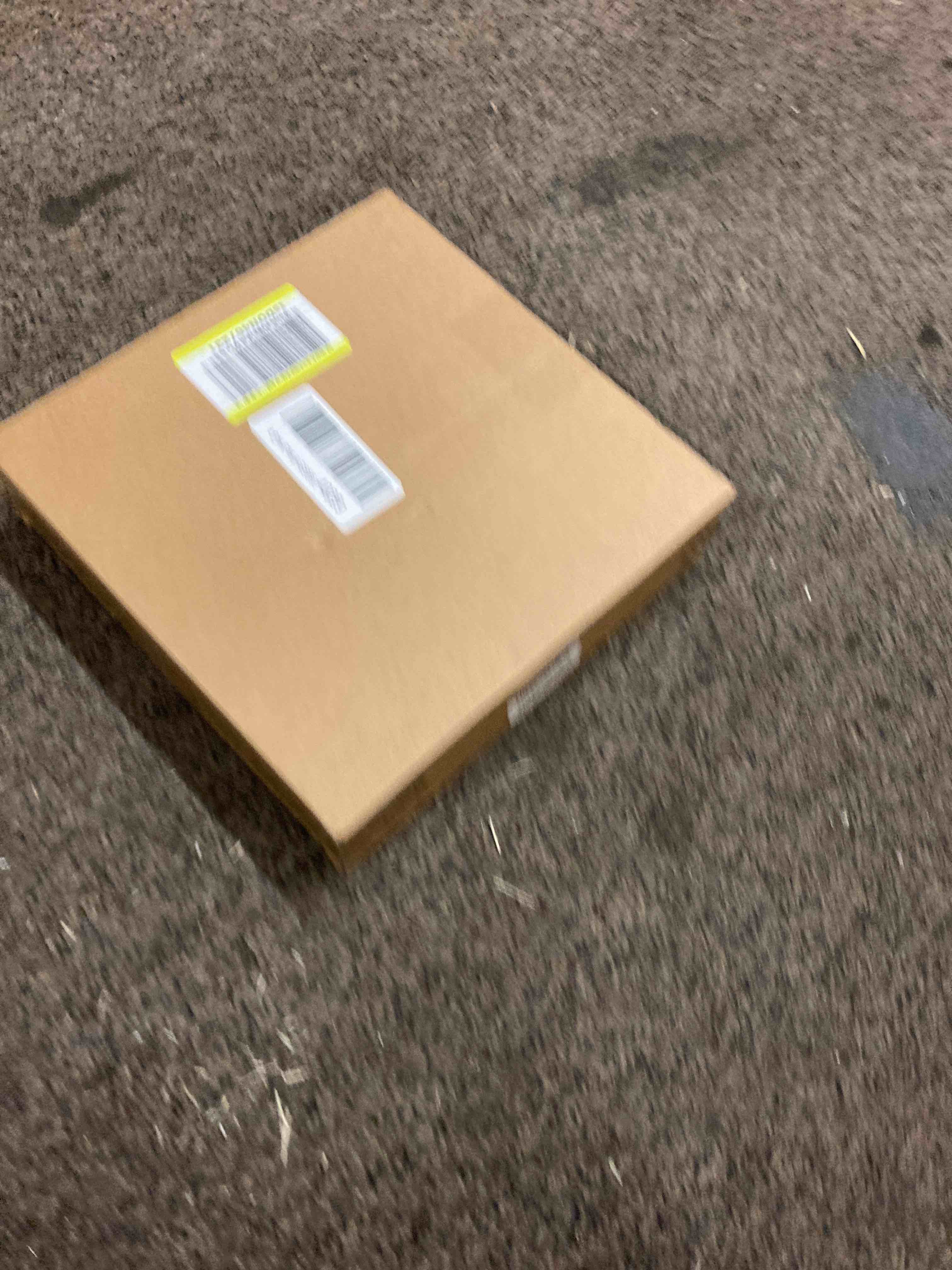 https://s3.amazonaws.com/lotting-images-prod/phillipi/BLU5550897_1702581930485.jpeg