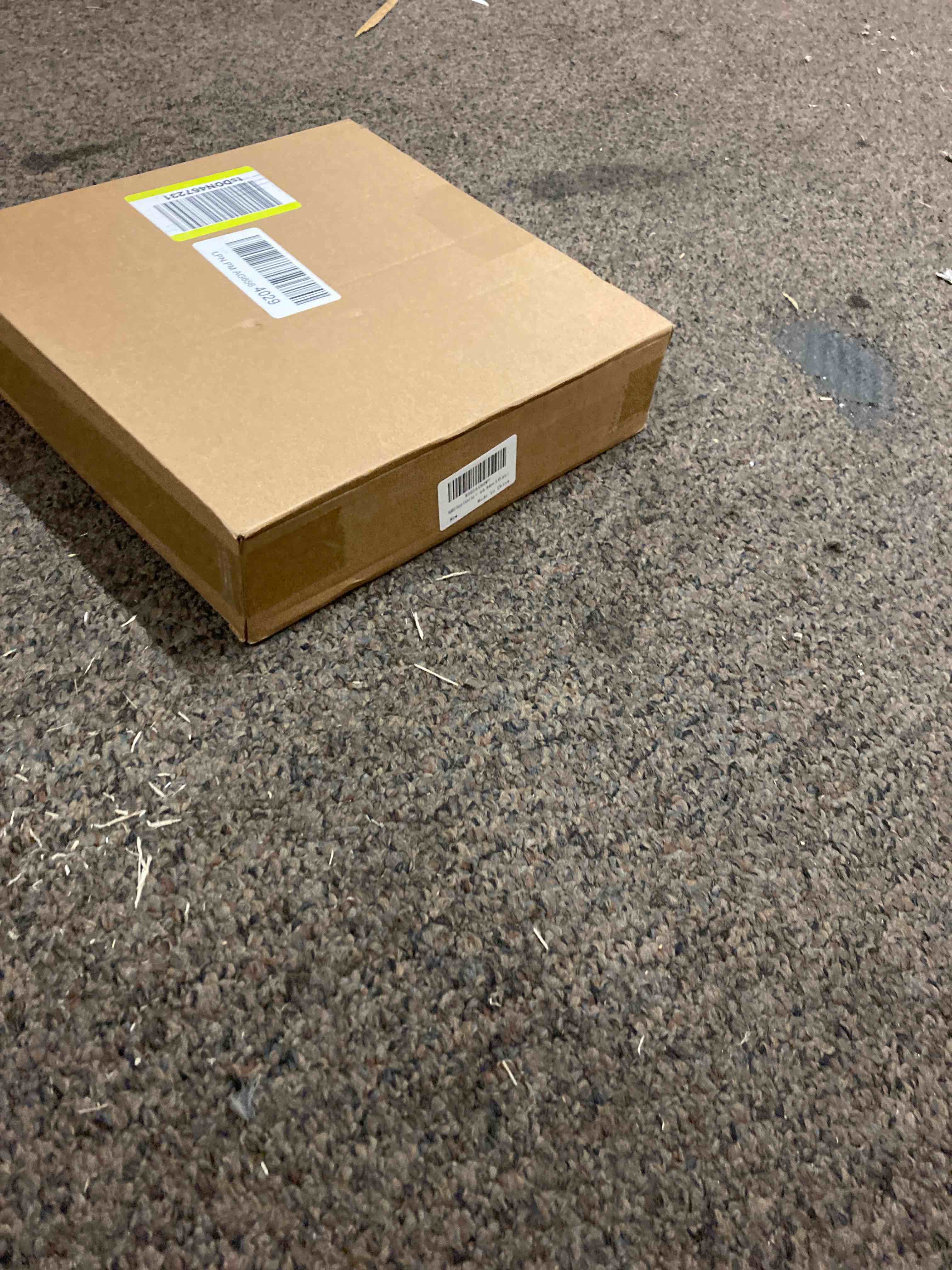 https://s3.amazonaws.com/lotting-images-prod/phillipi/BLU5550897_1702581932233.jpeg