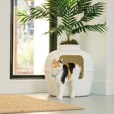 Good Pet Stuff, The Original Hidden Litter Box Starter Kit, Round Enclosed Cat Litter Box Planter with Artificial Plants, Vented Carbon Odor Filter System, Florist Moss, Easy to Clean, White Birch