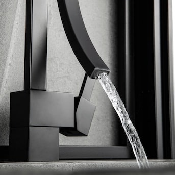 Parrot Uncle Matte Black Single Hole 1-Handle WaterSense Bathroom Sink Faucet 