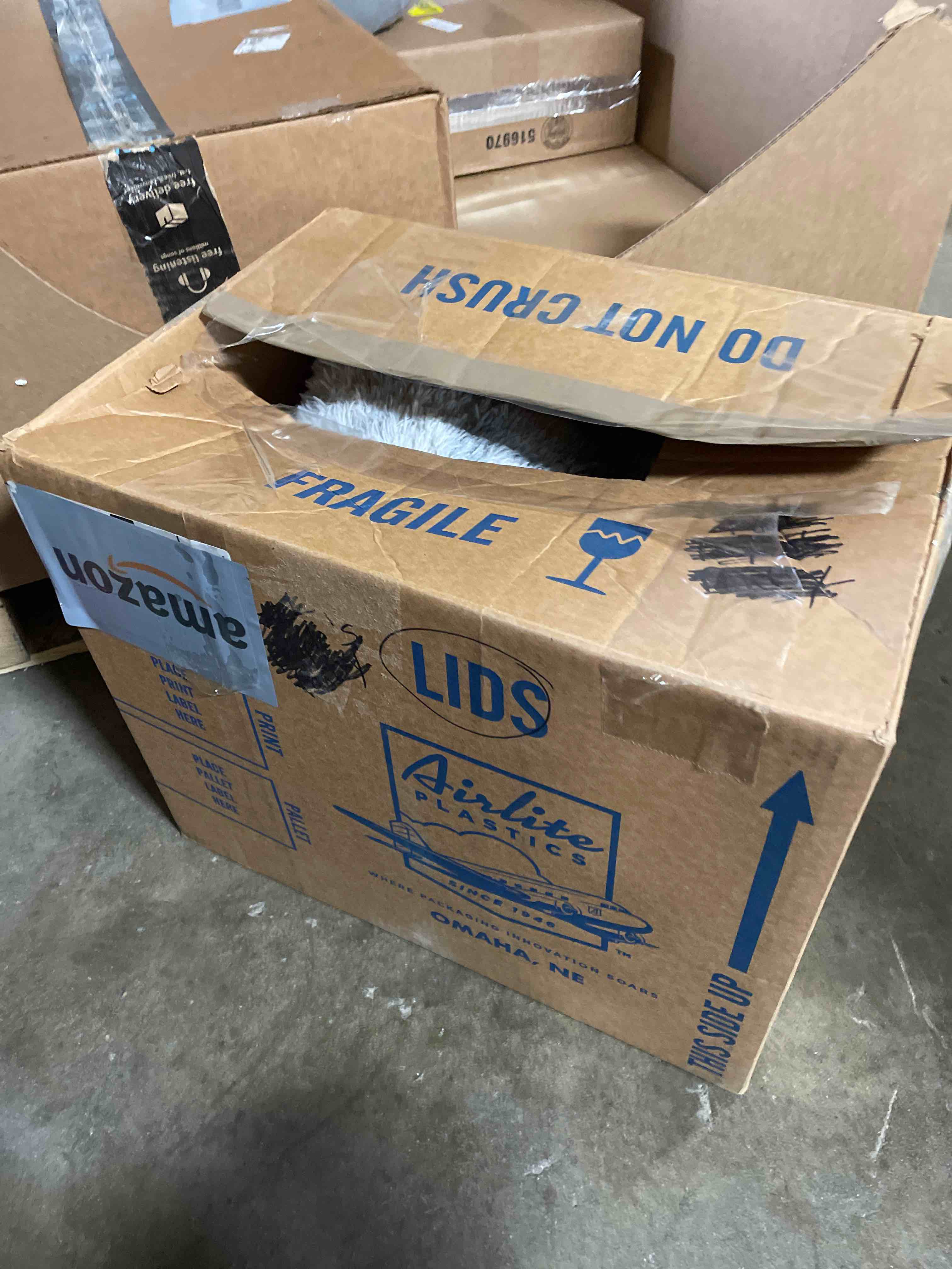 https://s3.amazonaws.com/lotting-images-prod/phillipi/BLU6138805_1717012765332.jpeg