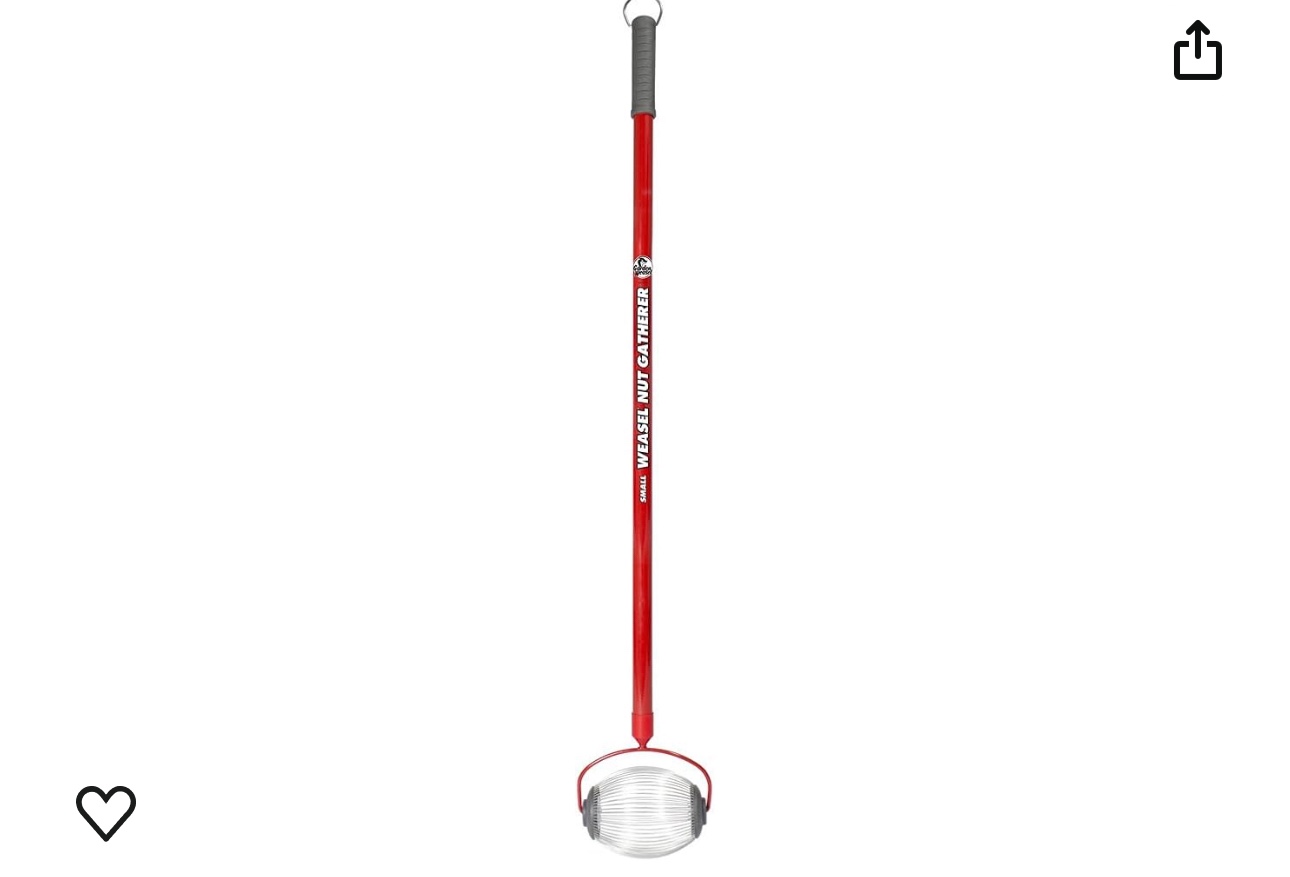 GARDEN WEASEL Nut Gatherer 95334 - Small Yard Roller - Pickup Acorns, Buckeyes, and More from 3/8" to 3/4"