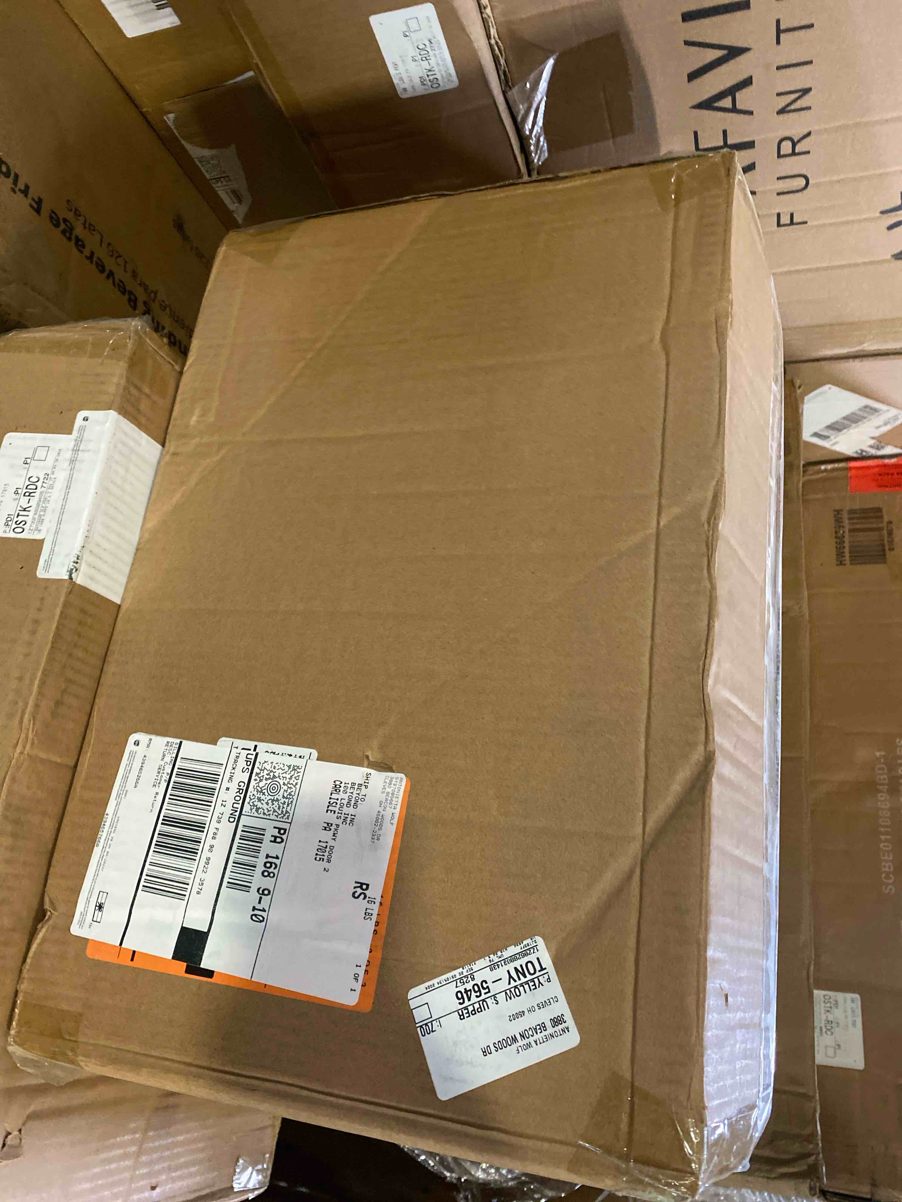 https://s3.amazonaws.com/lotting-images-prod/phillipi/BRN0098222_1729180434739.jpeg