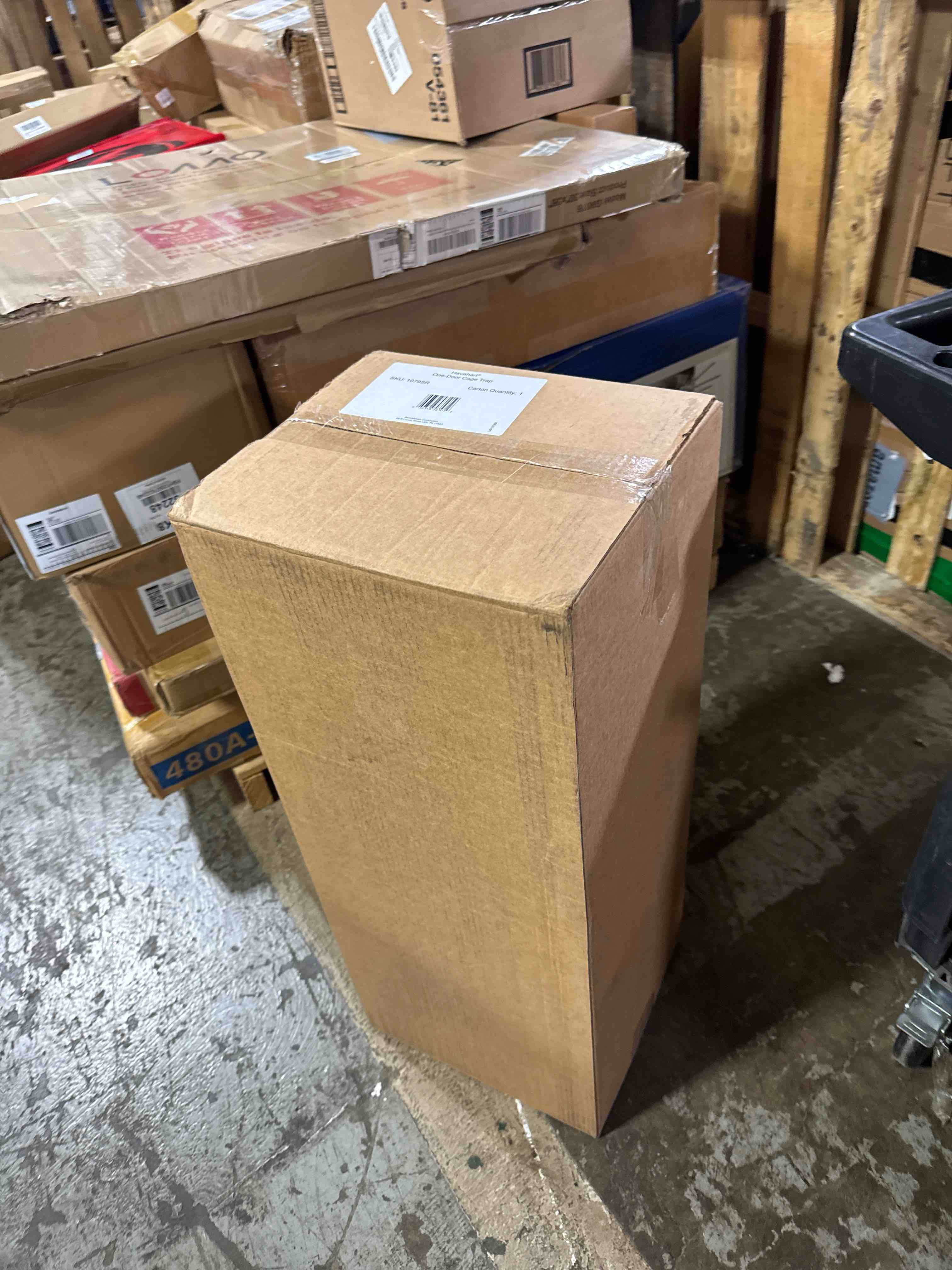 https://s3.amazonaws.com/lotting-images-prod/phillipi/BRN0104076_1758739690853.jpeg