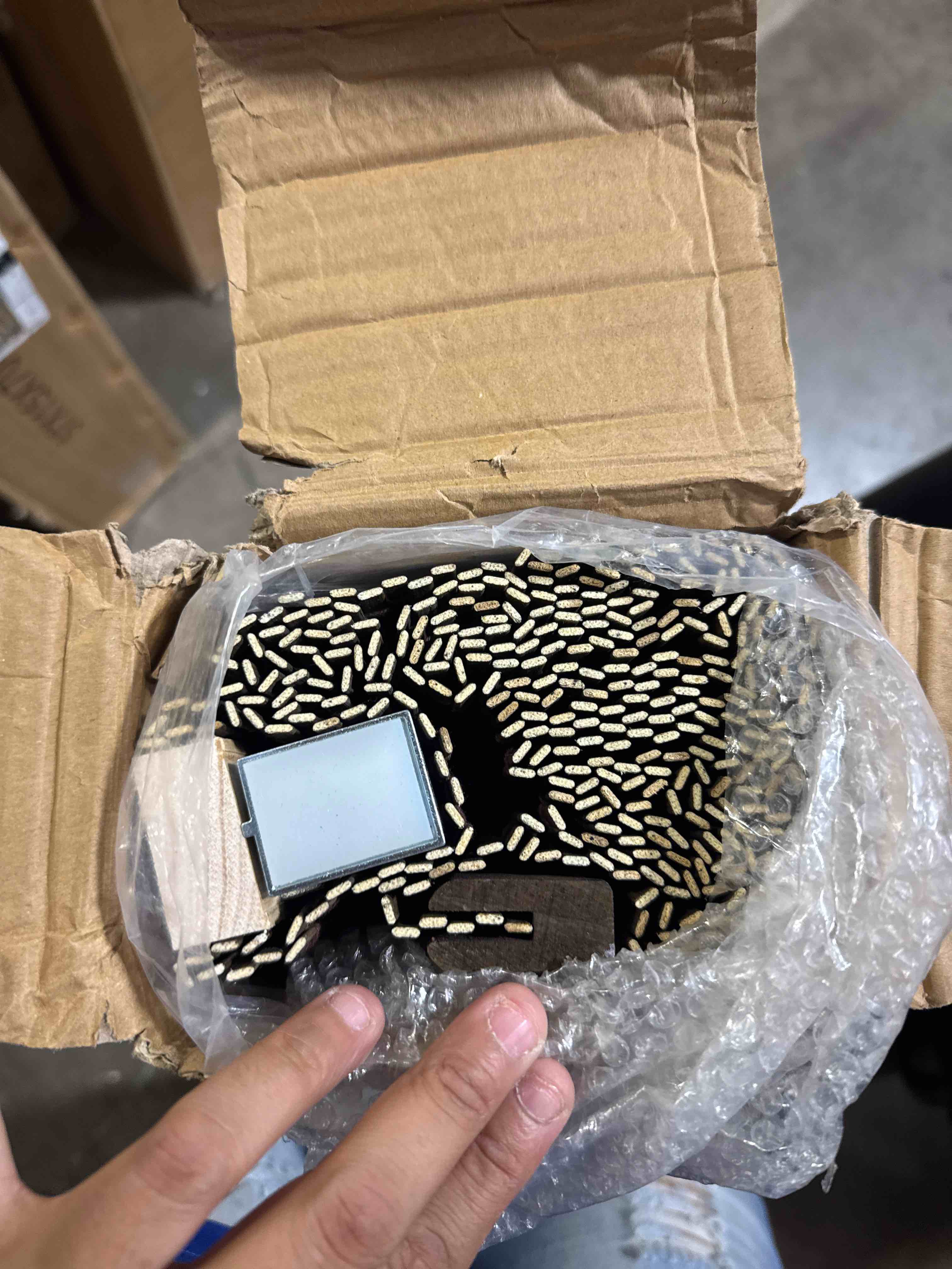 https://s3.amazonaws.com/lotting-images-prod/phillipi/BRN0104135_1758640993565.jpeg