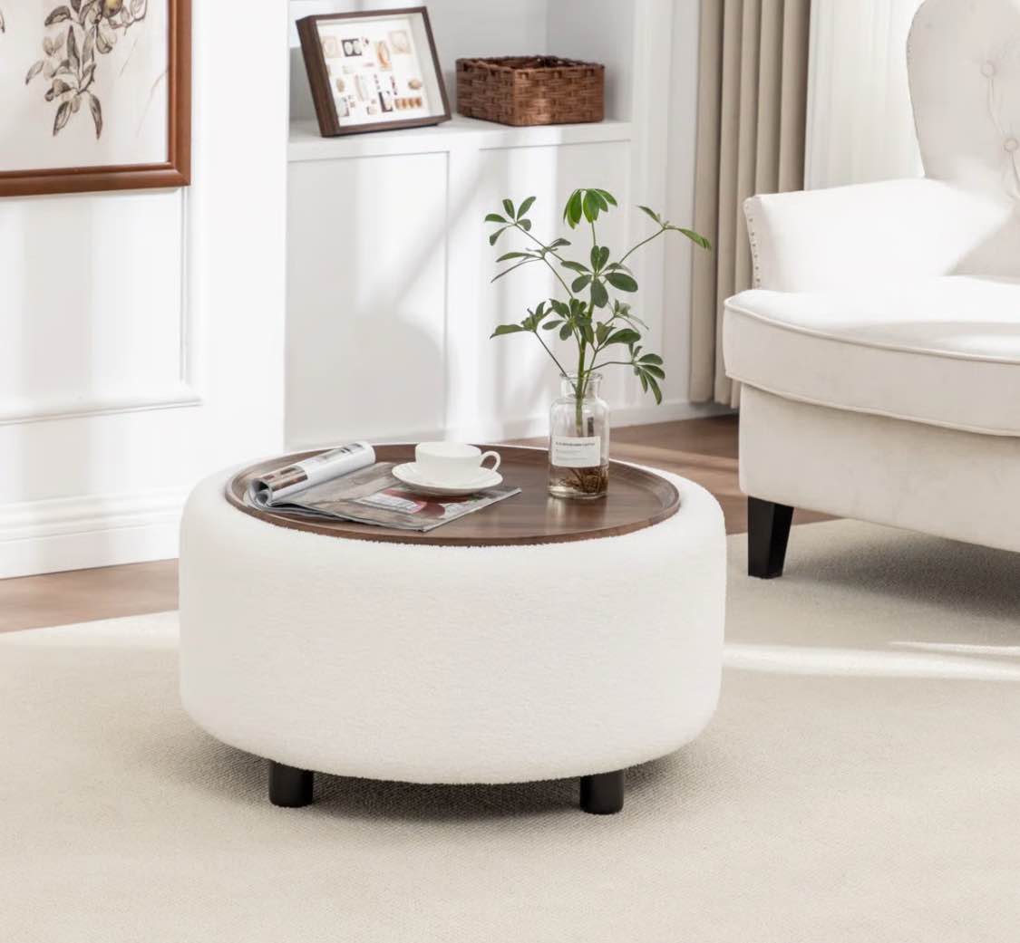Pietsch Round Coffee Table with Storage