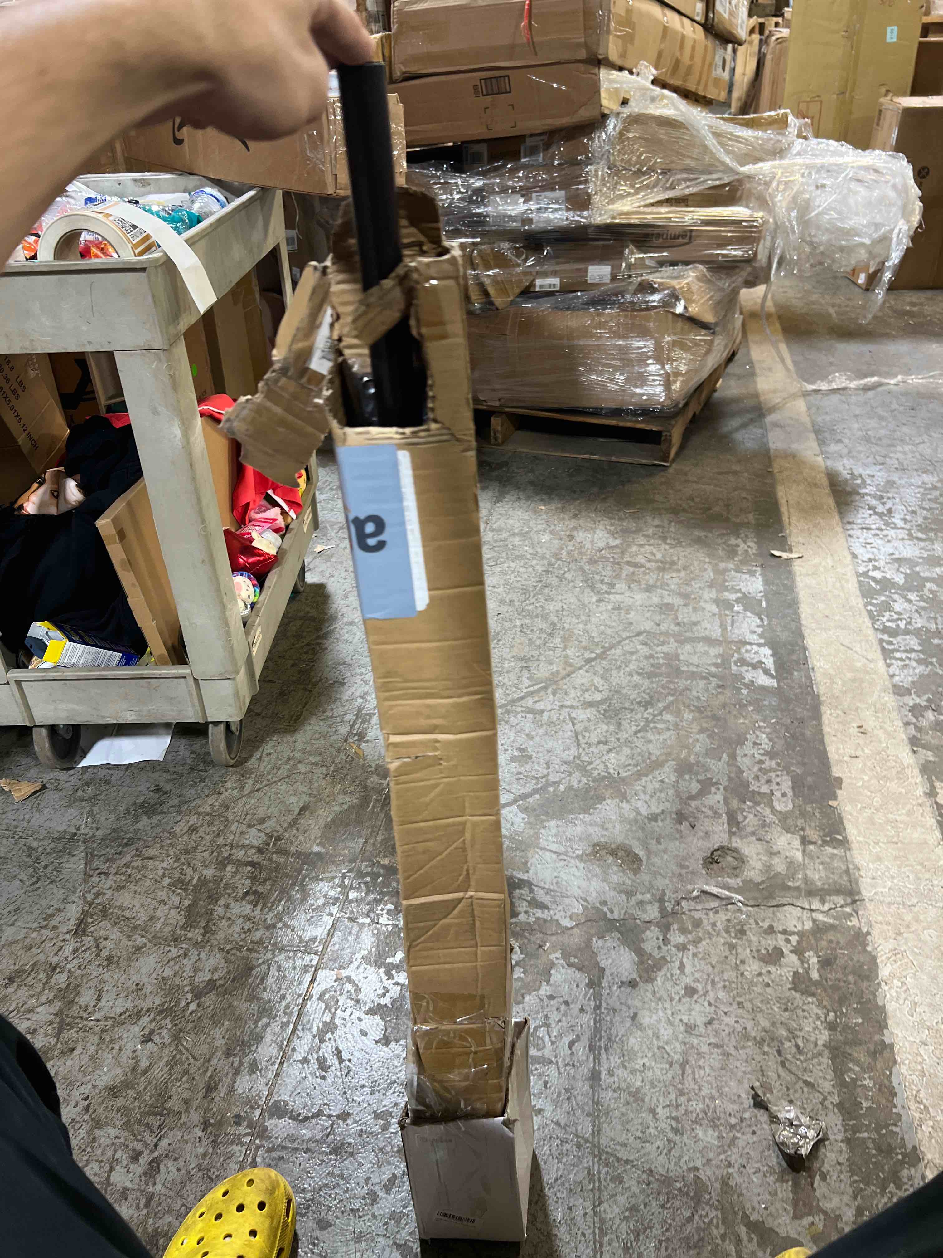 https://s3.amazonaws.com/lotting-images-prod/phillipi/BRN0104738_1745432310699.jpeg