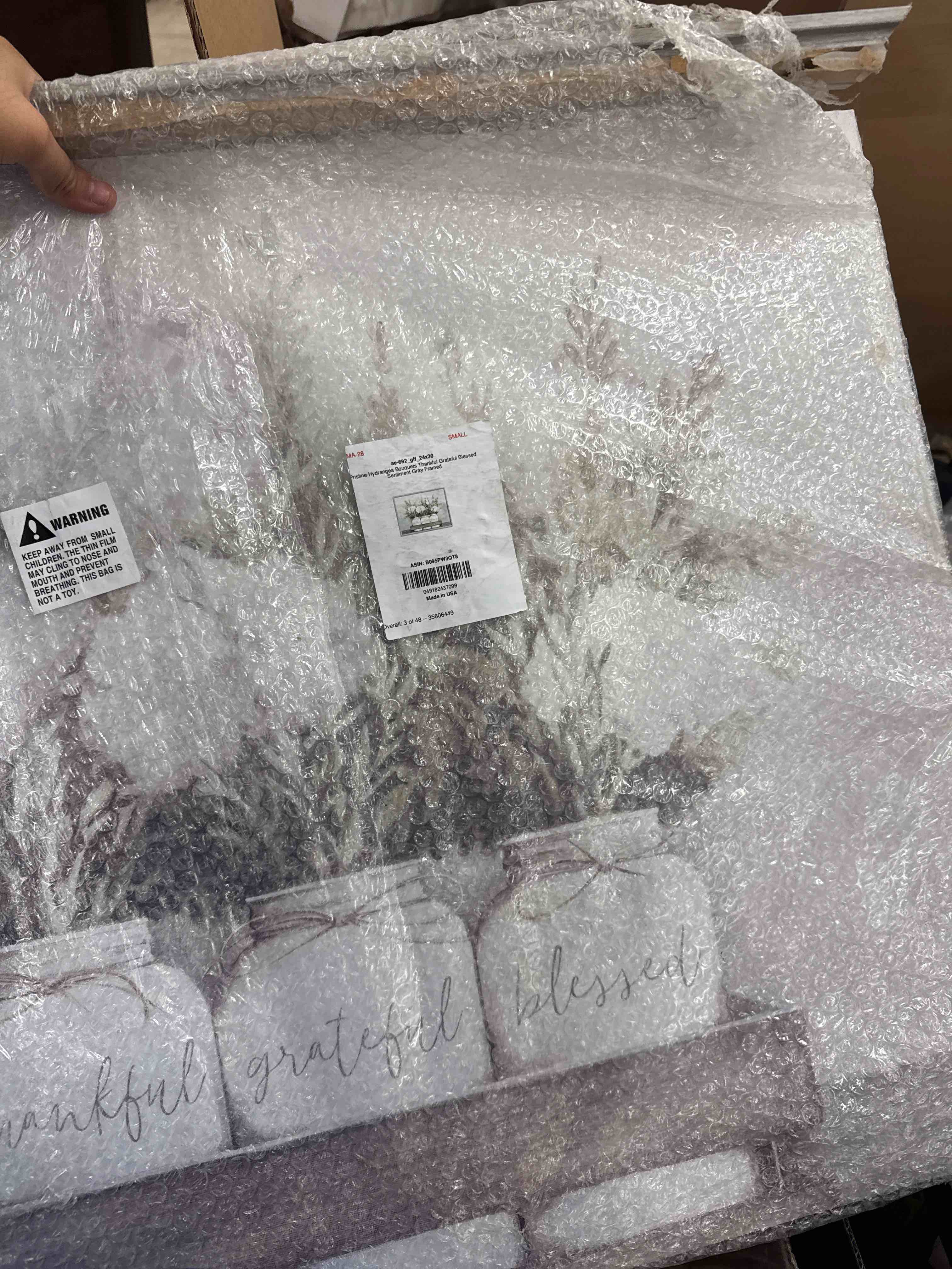 https://s3.amazonaws.com/lotting-images-prod/phillipi/BRN0112089_1735229786356.jpeg