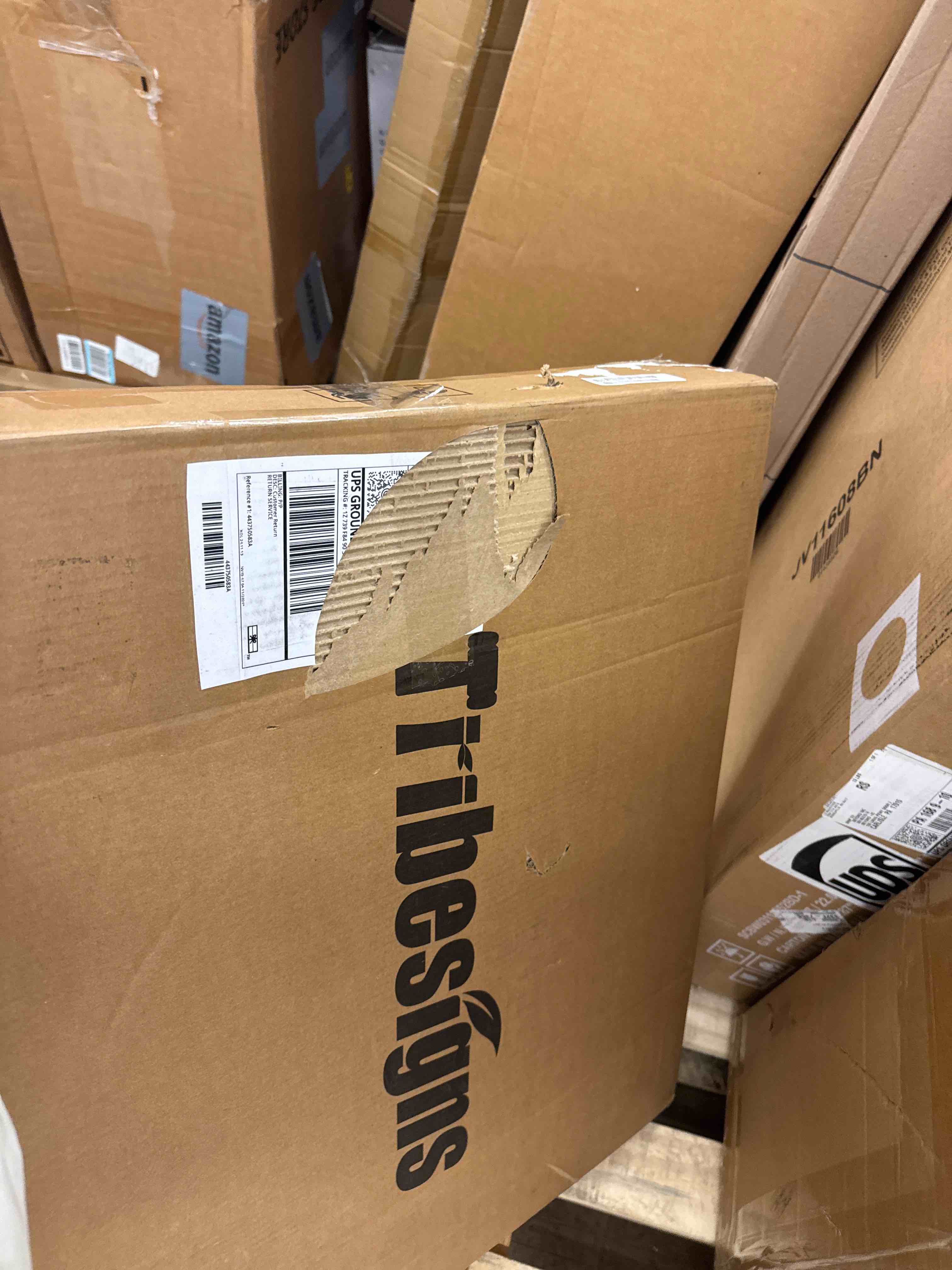 https://s3.amazonaws.com/lotting-images-prod/phillipi/BRN0112357_1734029823893.jpeg