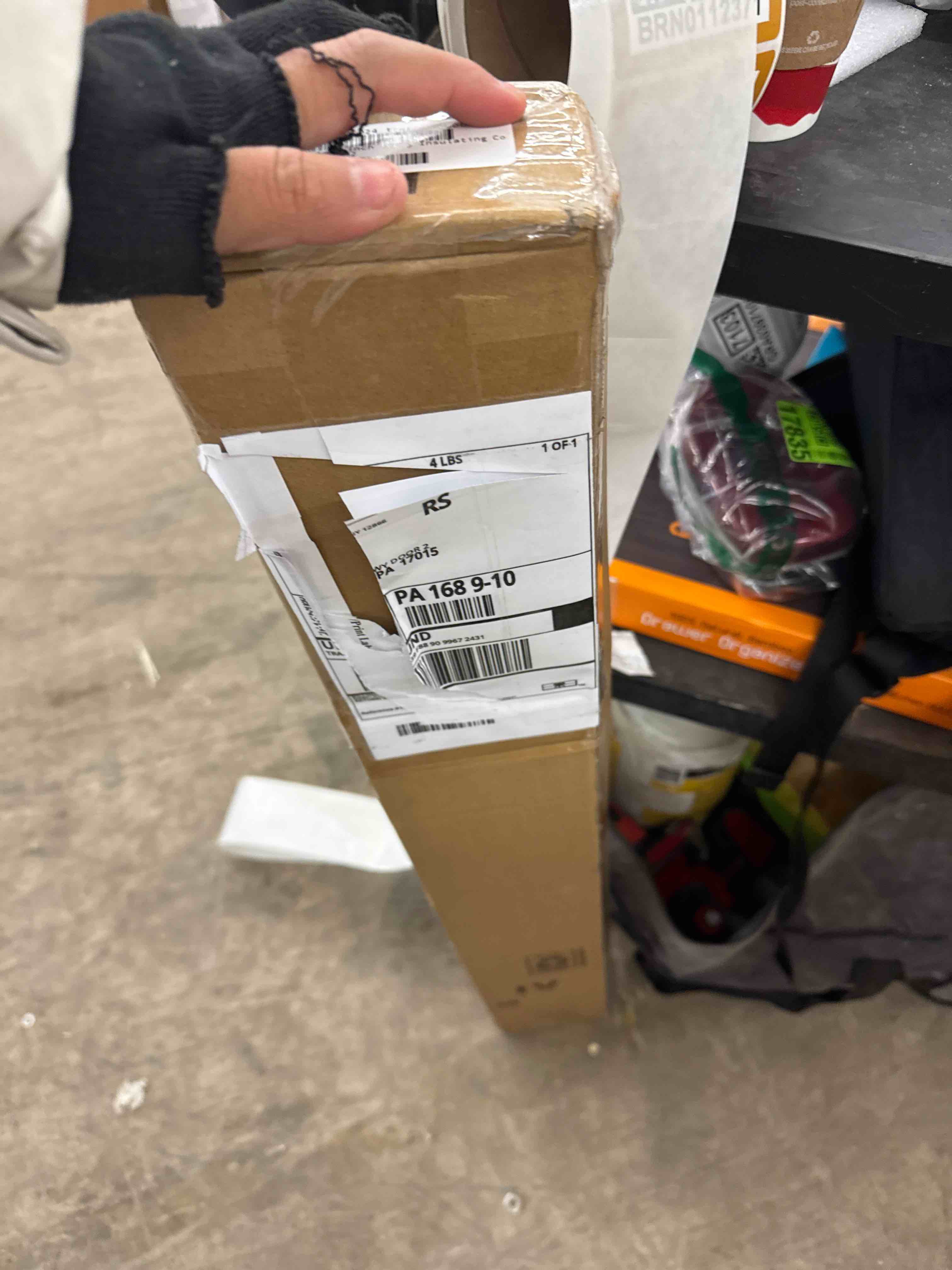 https://s3.amazonaws.com/lotting-images-prod/phillipi/BRN0112375_1734026377169.jpeg