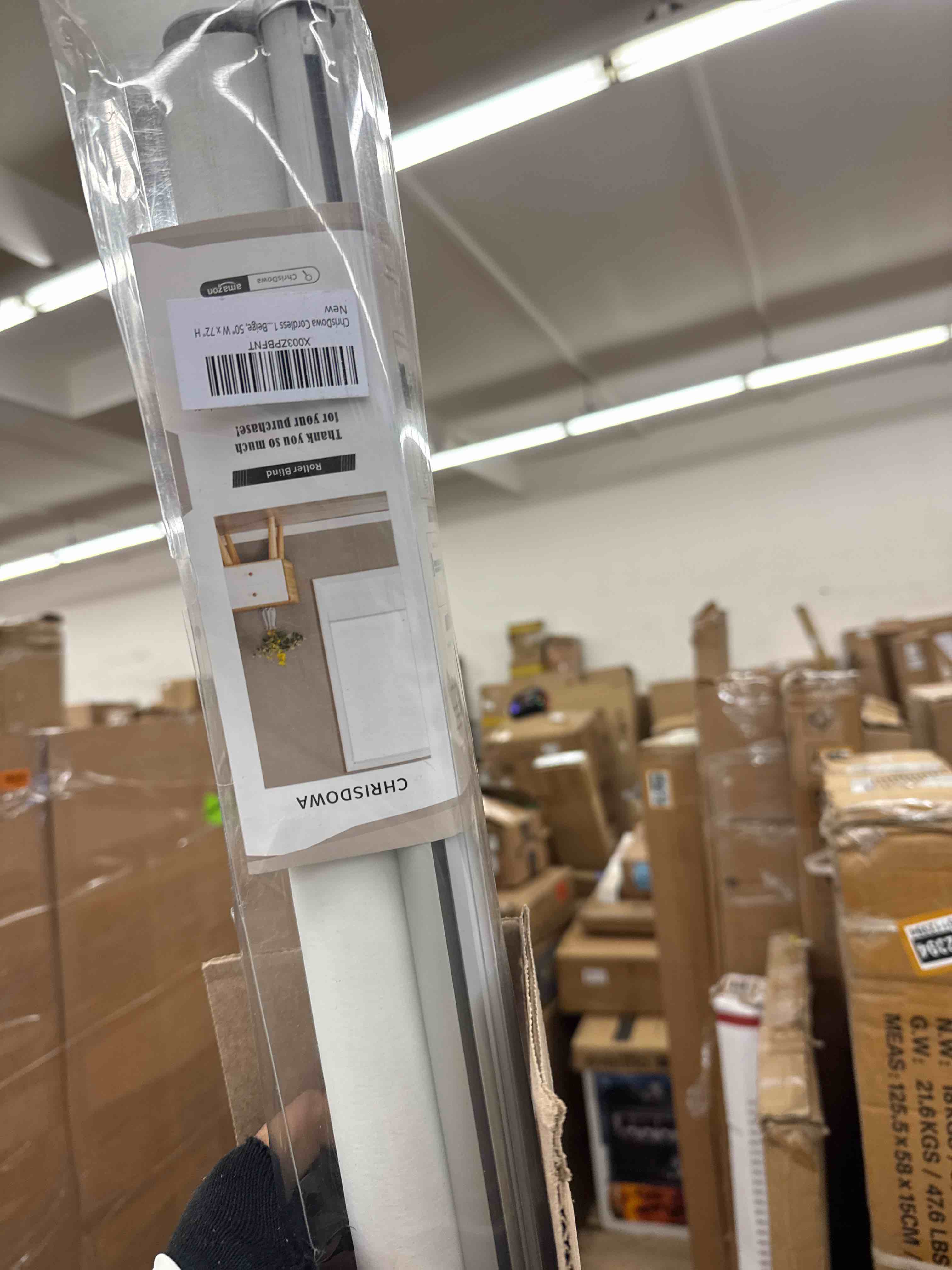 https://s3.amazonaws.com/lotting-images-prod/phillipi/BRN0112389_1734022698332.jpeg