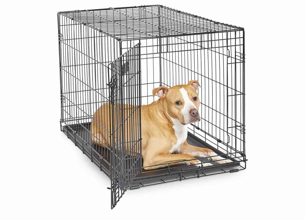 MidWest Homes for Pets Newly Enhanced Single Door iCrate Dog Crate, Includes Leak-Proof Pan, Floor Protecting Feet , Divider Panel & New Patented Features, Black