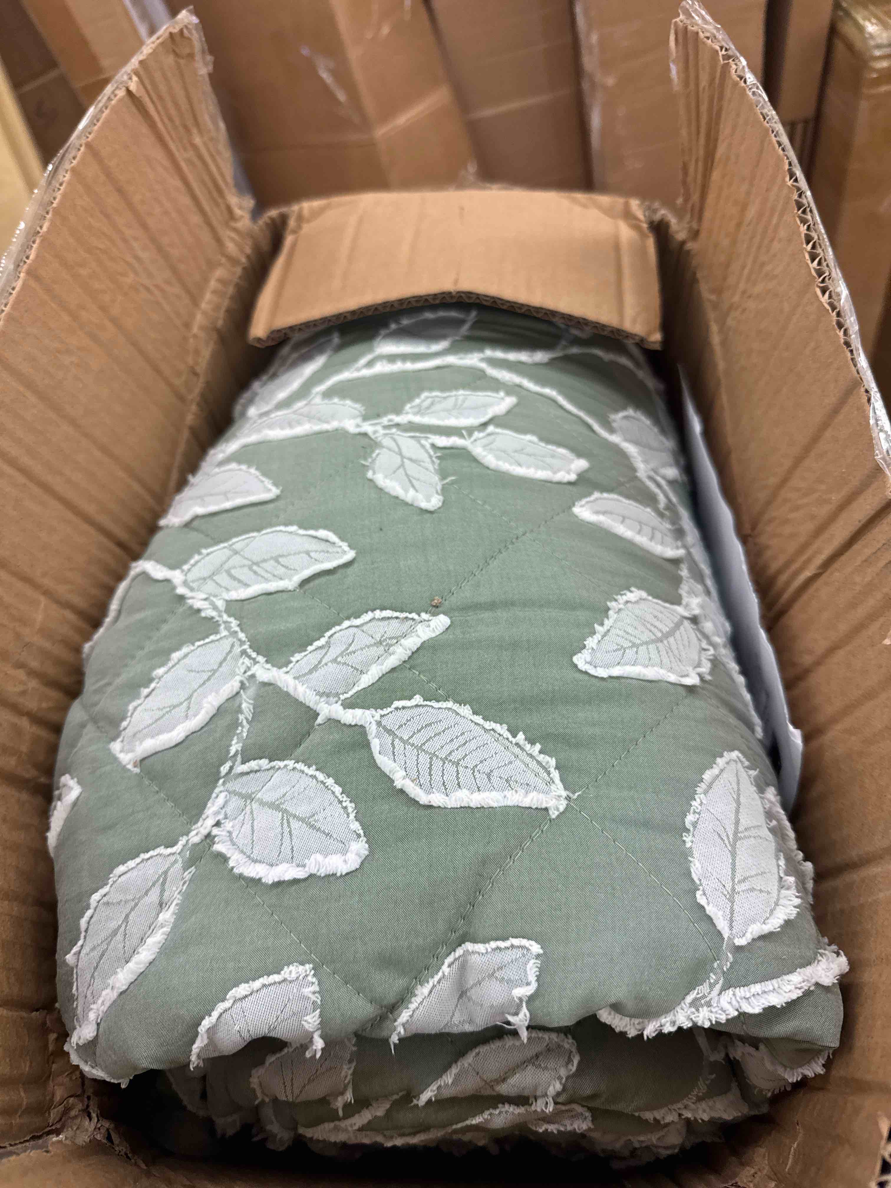 https://s3.amazonaws.com/lotting-images-prod/phillipi/BRN0112792_1732635816801.jpeg