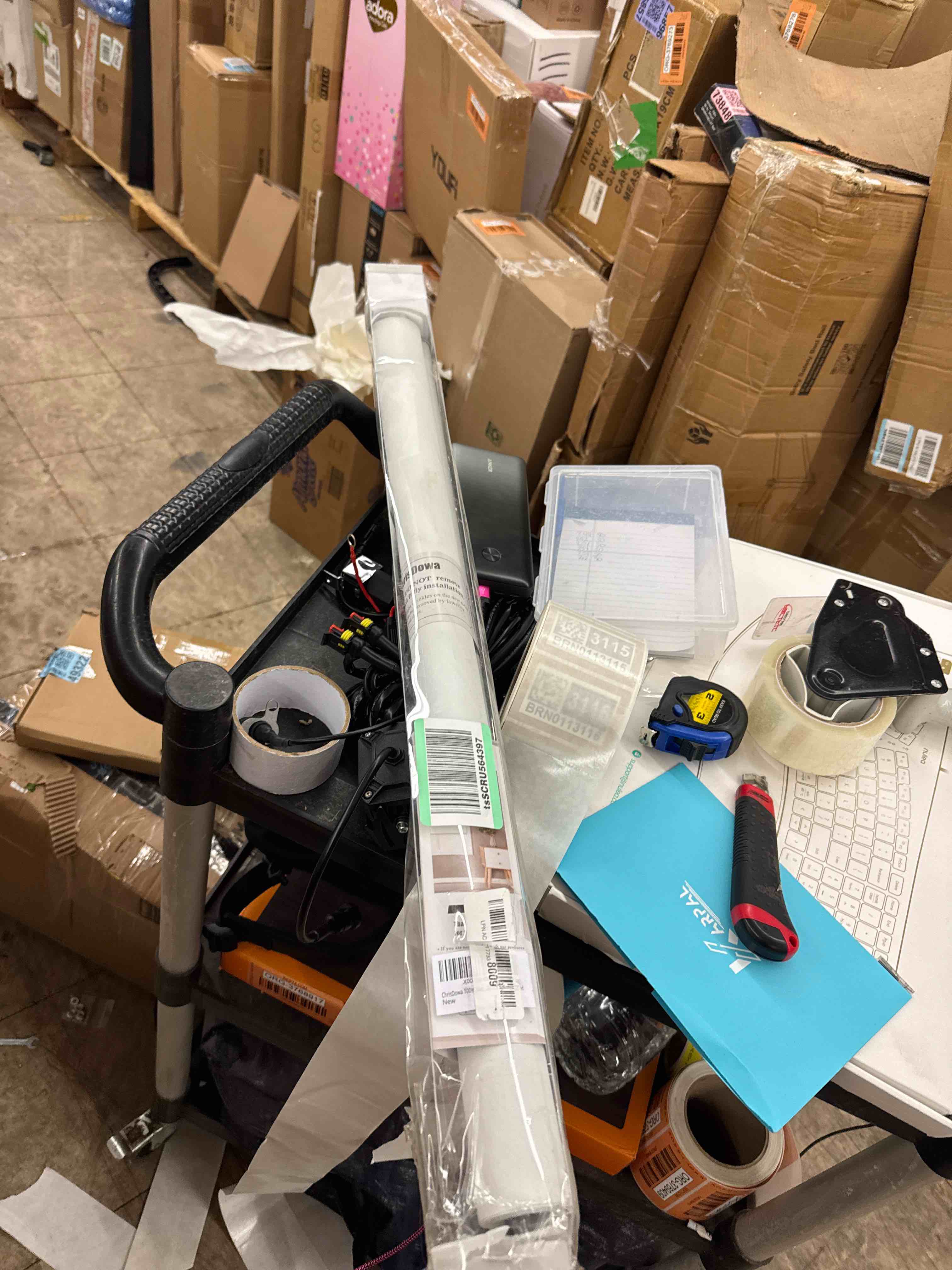 https://s3.amazonaws.com/lotting-images-prod/phillipi/BRN0113121_1731445523381.jpeg