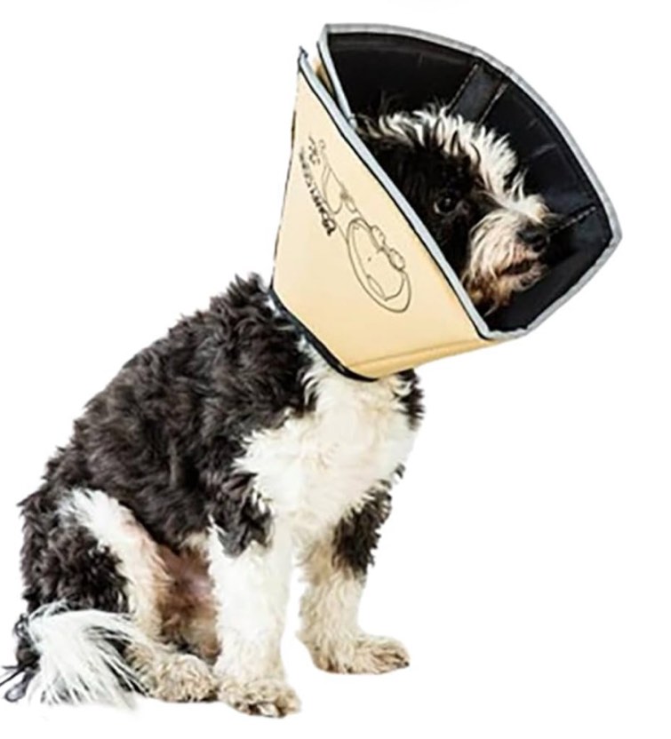 Comfy Cone Pet Cone for Dogs, Cats, X-Large, Tan - Comfortable Soft Dog Cone Collar Alternative for After Surgery, Wound Care, Spay, Neuter - Dog and Cat Recovery Collar