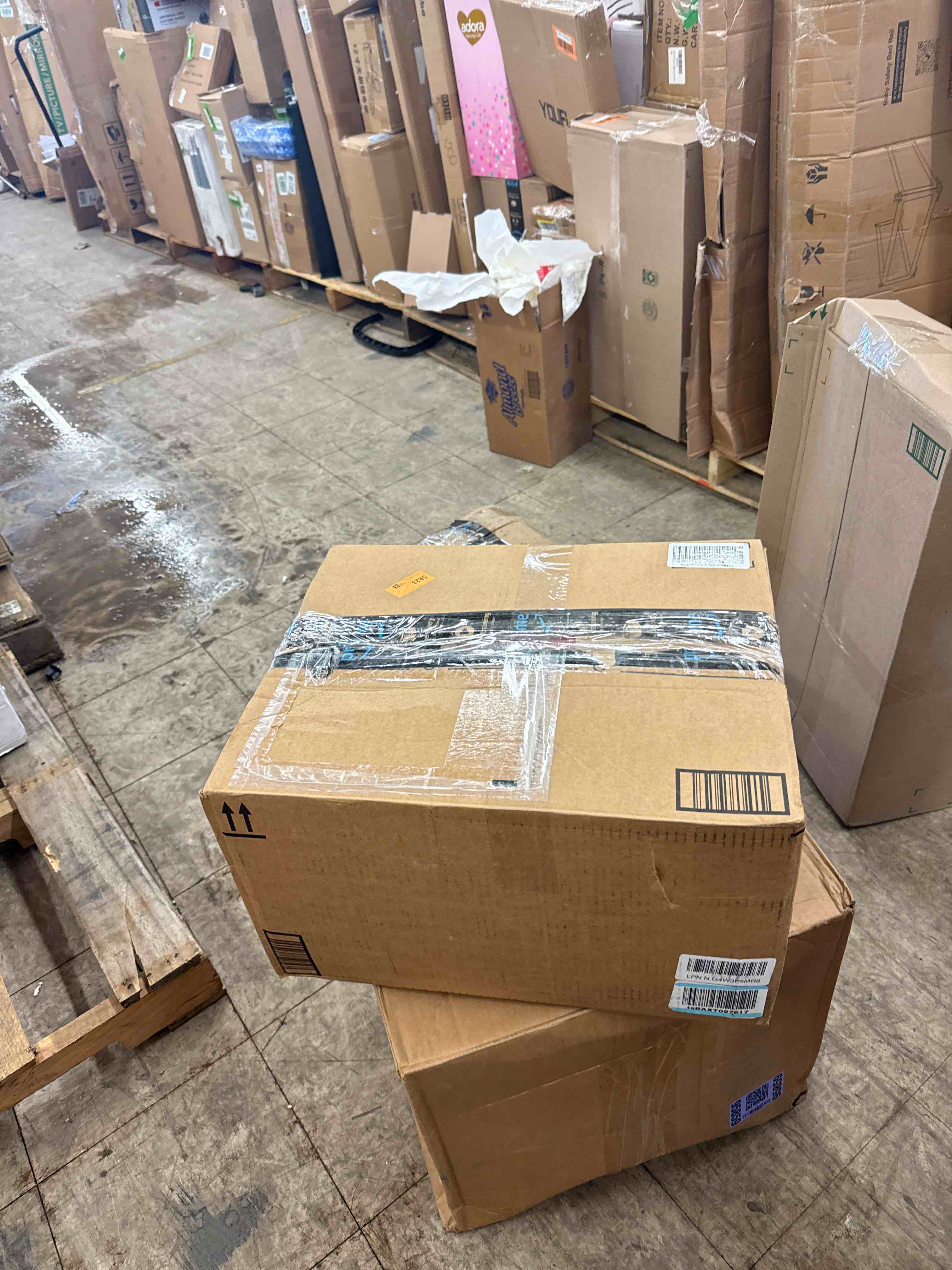 https://s3.amazonaws.com/lotting-images-prod/phillipi/BRN0113164_1731440317886.jpeg